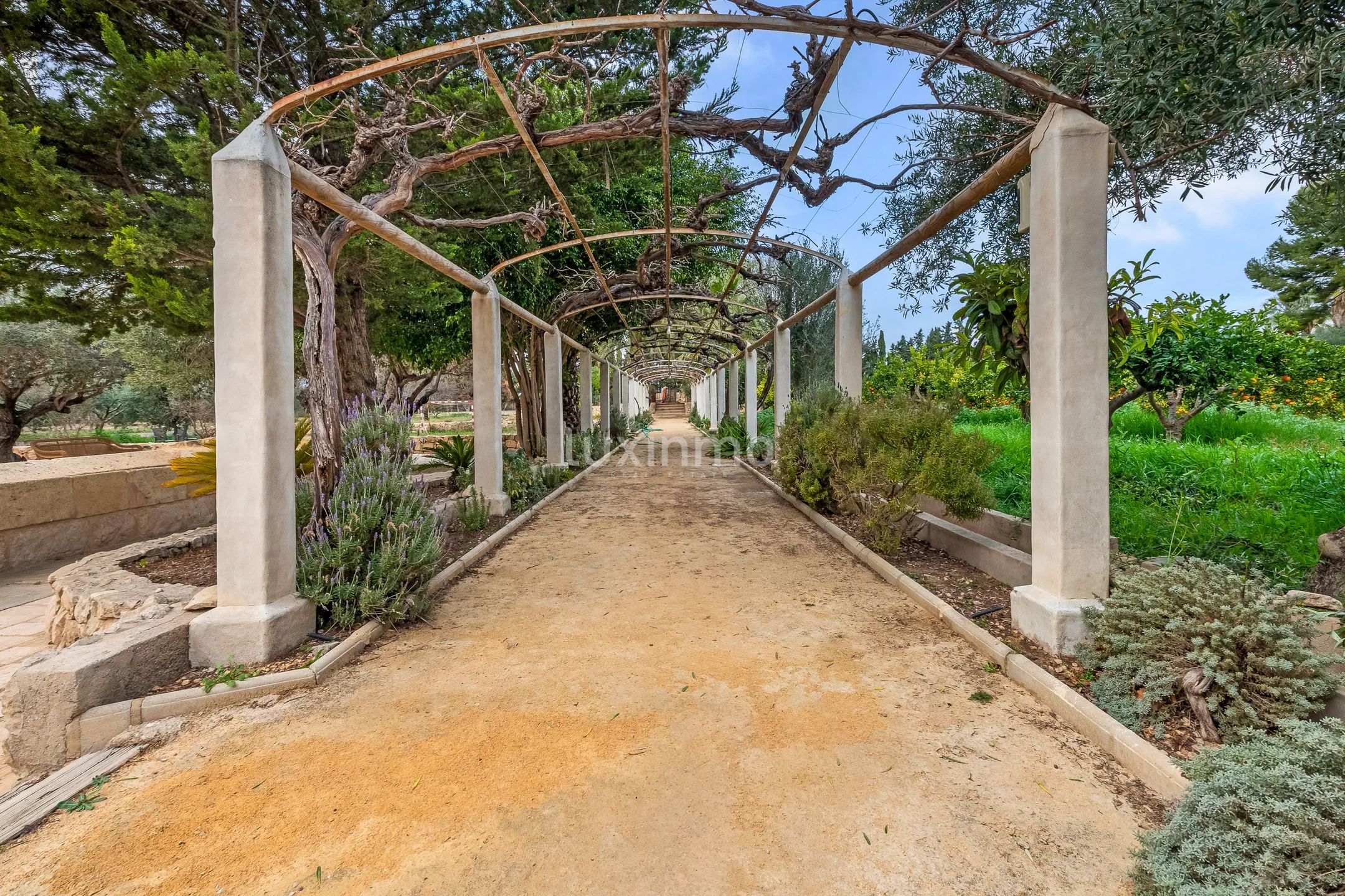 Finca reformada con casa de invitados y piscina en Mutxamel — photo 47