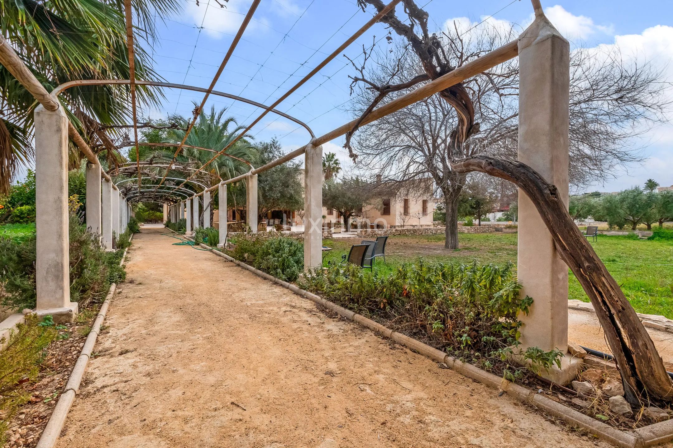 Finca reformada con casa de invitados y piscina en Mutxamel — photo 48