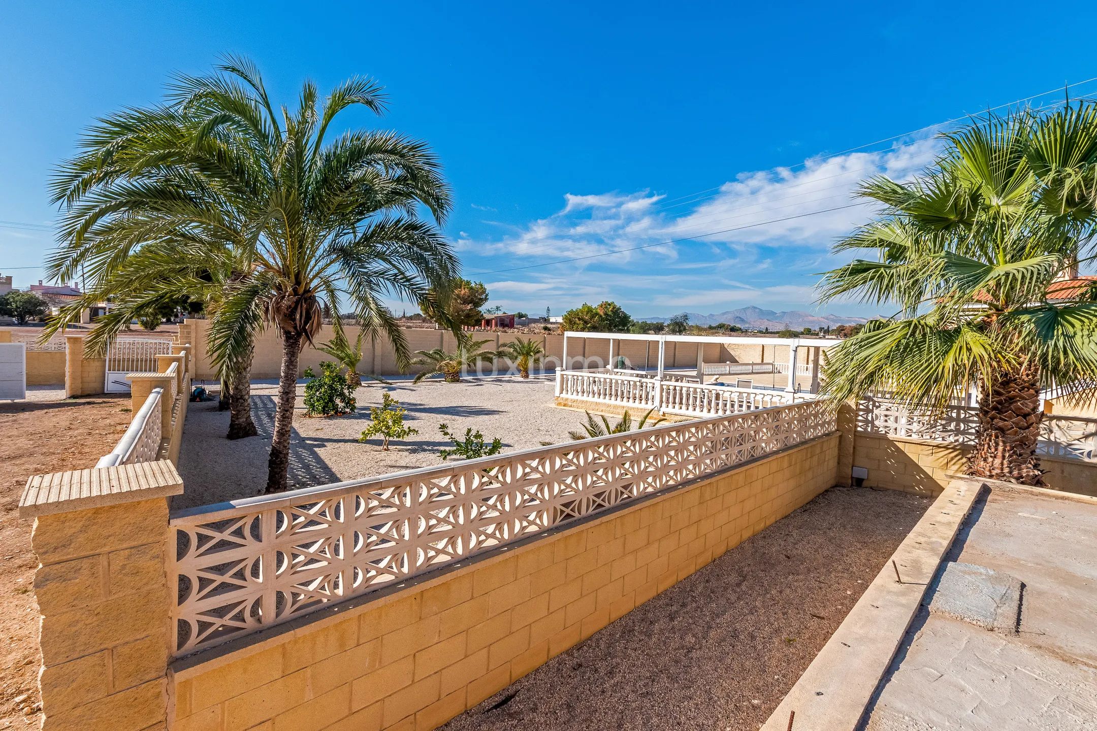 Finca en Muchamiel con huerto de olivos en venta — photo 3