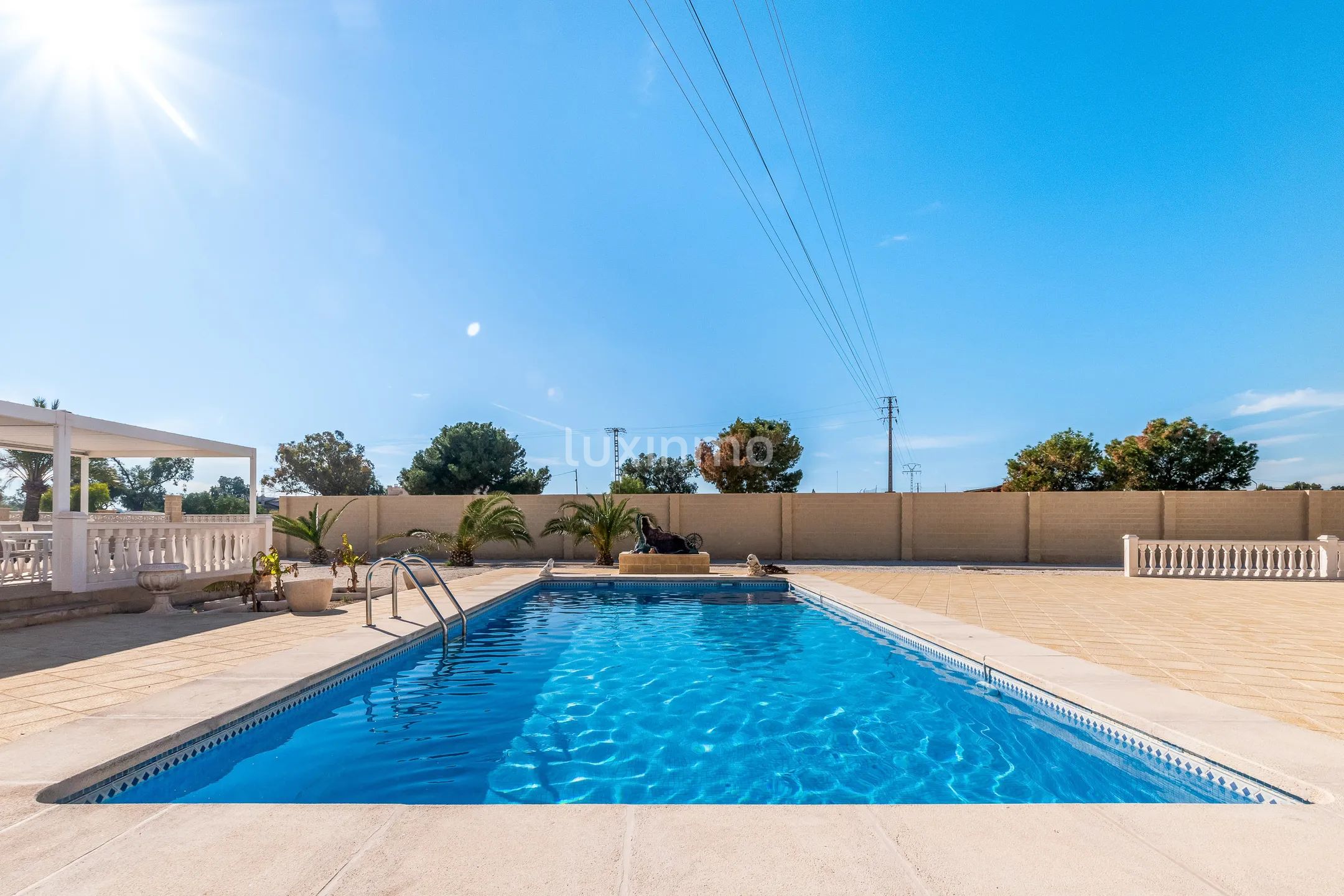 Finca en Muchamiel con huerto de olivos en venta — photo 24
