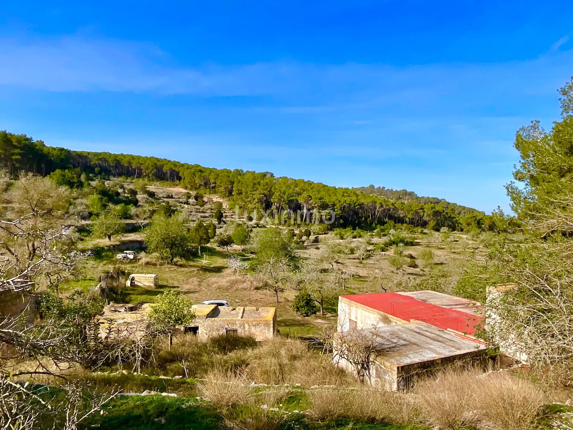 100 jaar oude finca die gerenoveerd moet worden in het idyllische platteland van San Rafael, Ibiza — photo 5