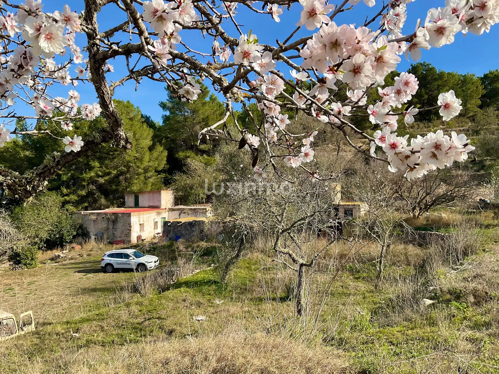 100 jaar oude finca die gerenoveerd moet worden in het idyllische platteland van San Rafael, Ibiza — photo 2