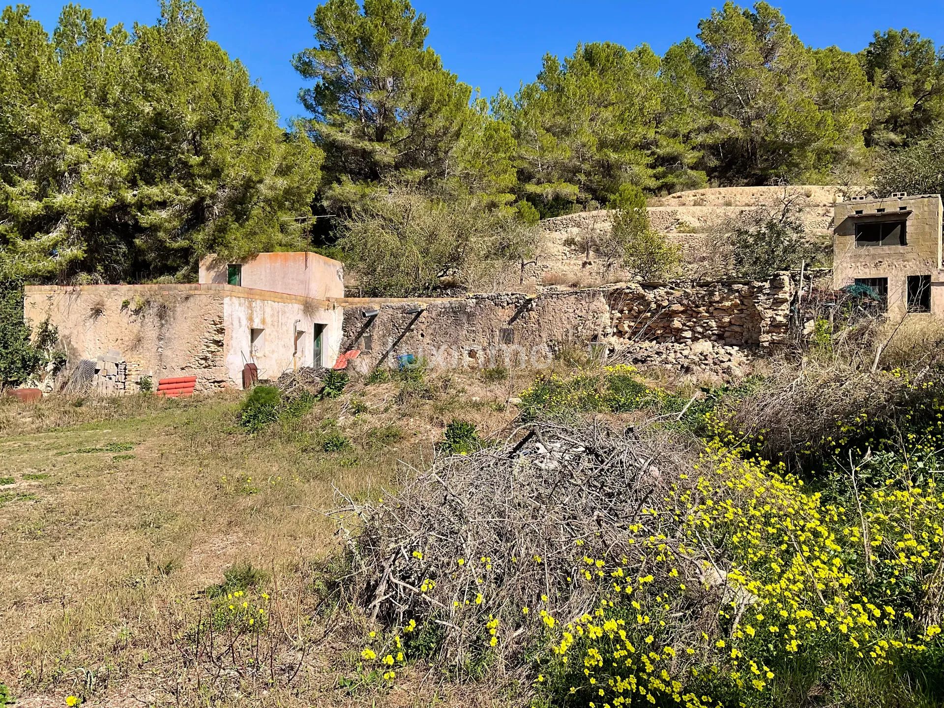 100 jaar oude finca die gerenoveerd moet worden in het idyllische platteland van San Rafael, Ibiza — photo 11