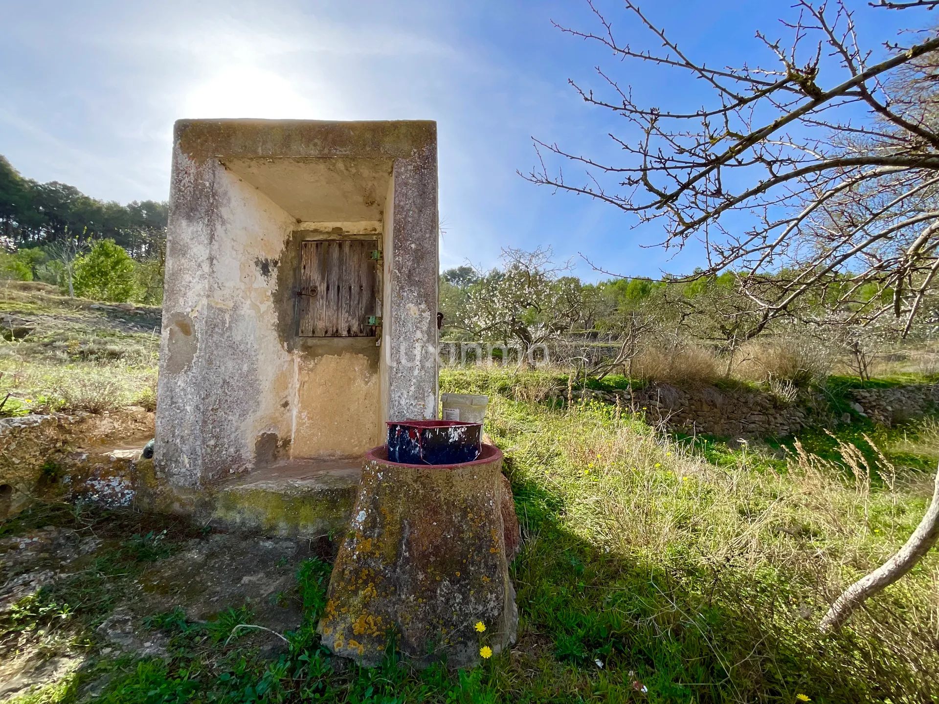 100 jaar oude finca die gerenoveerd moet worden in het idyllische platteland van San Rafael, Ibiza — photo 9