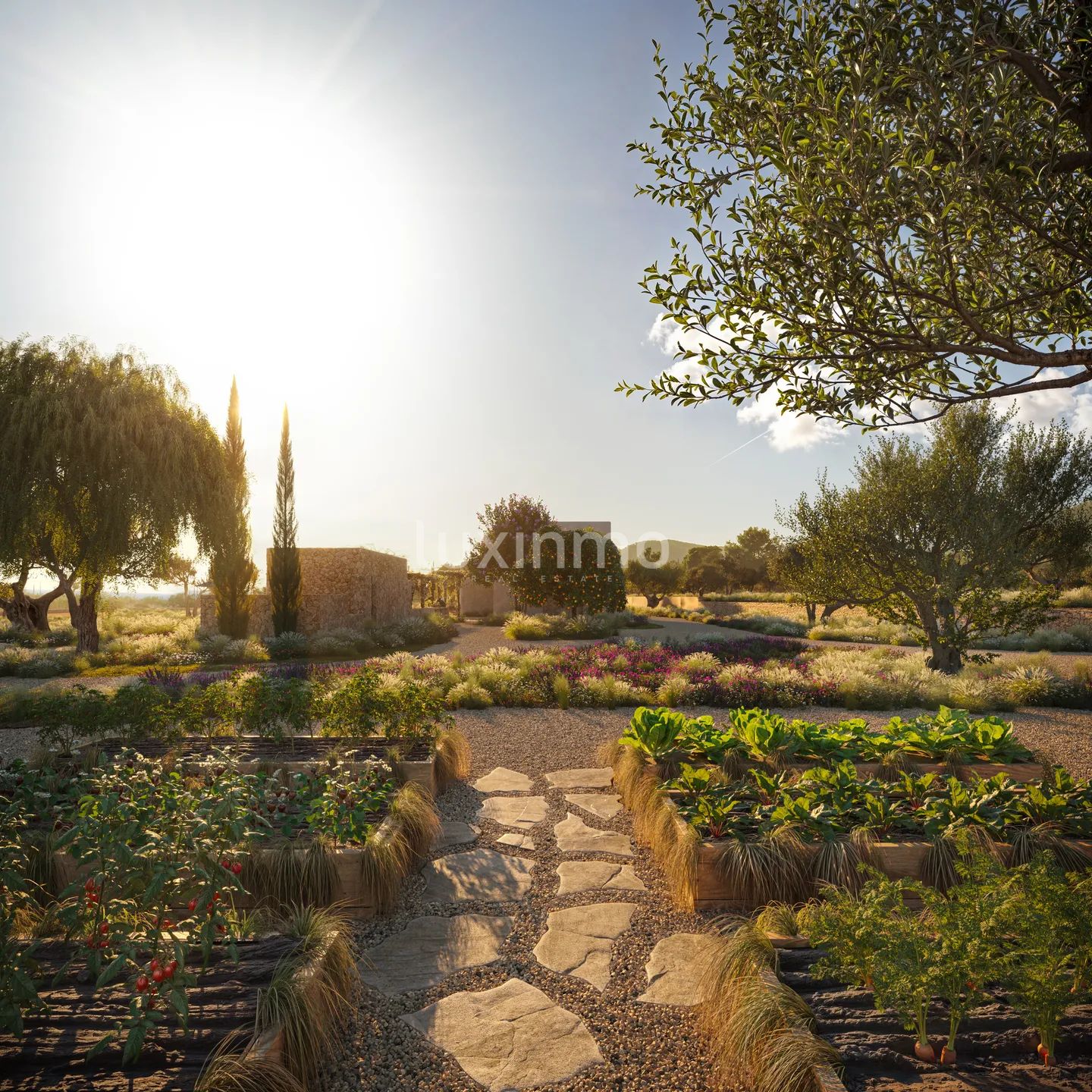 Sjarmerende eiendomsprosjekt på landet nær Las Salinas — photo 13