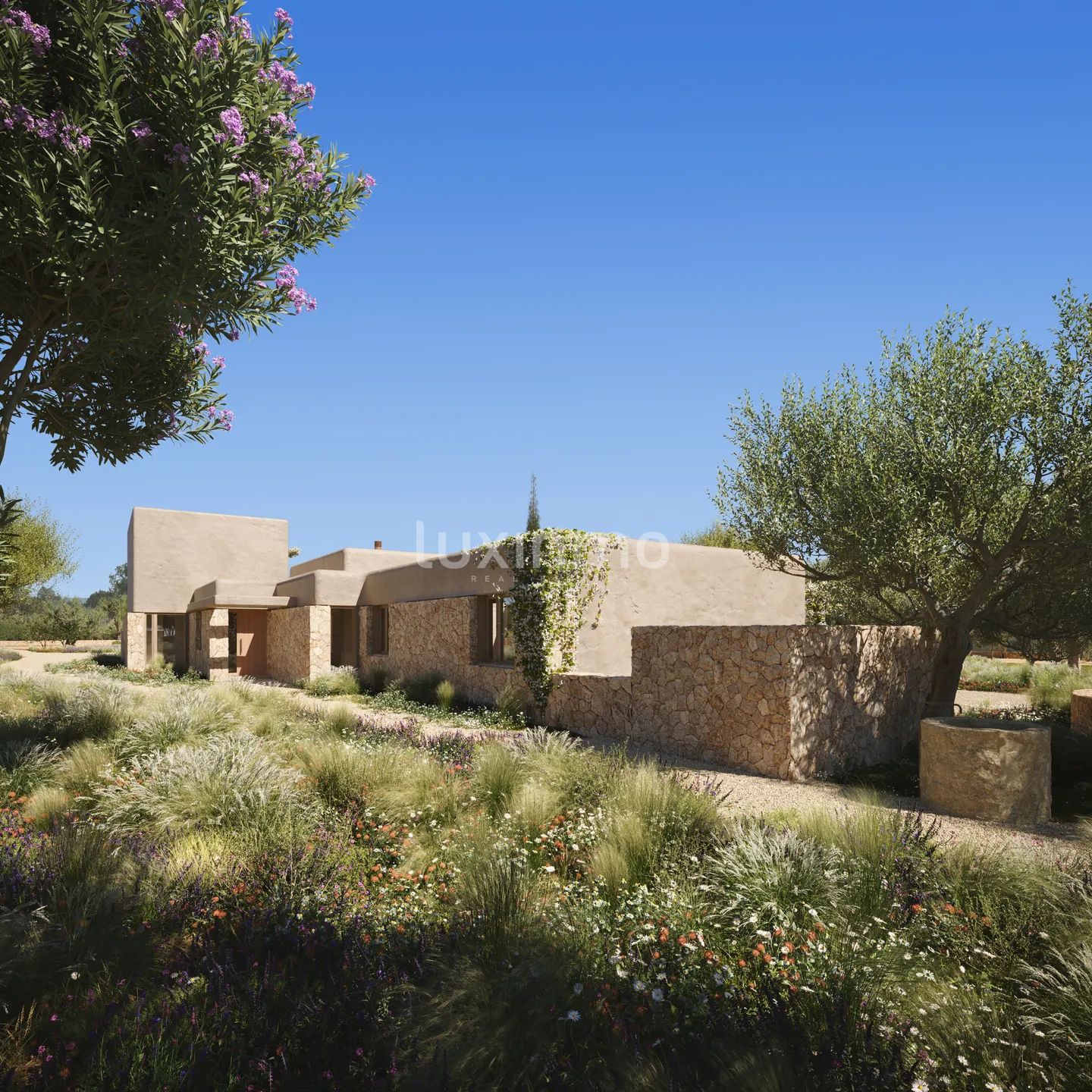 Sjarmerende eiendomsprosjekt på landet nær Las Salinas — photo 20