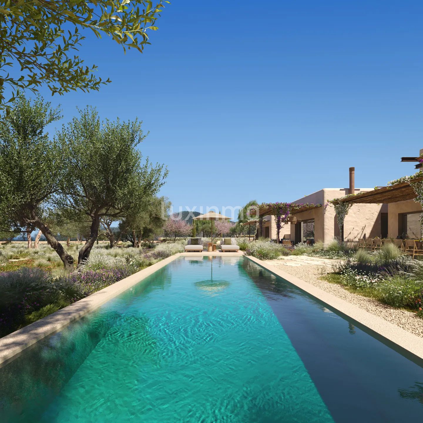 Sjarmerende eiendomsprosjekt på landet nær Las Salinas — photo 12