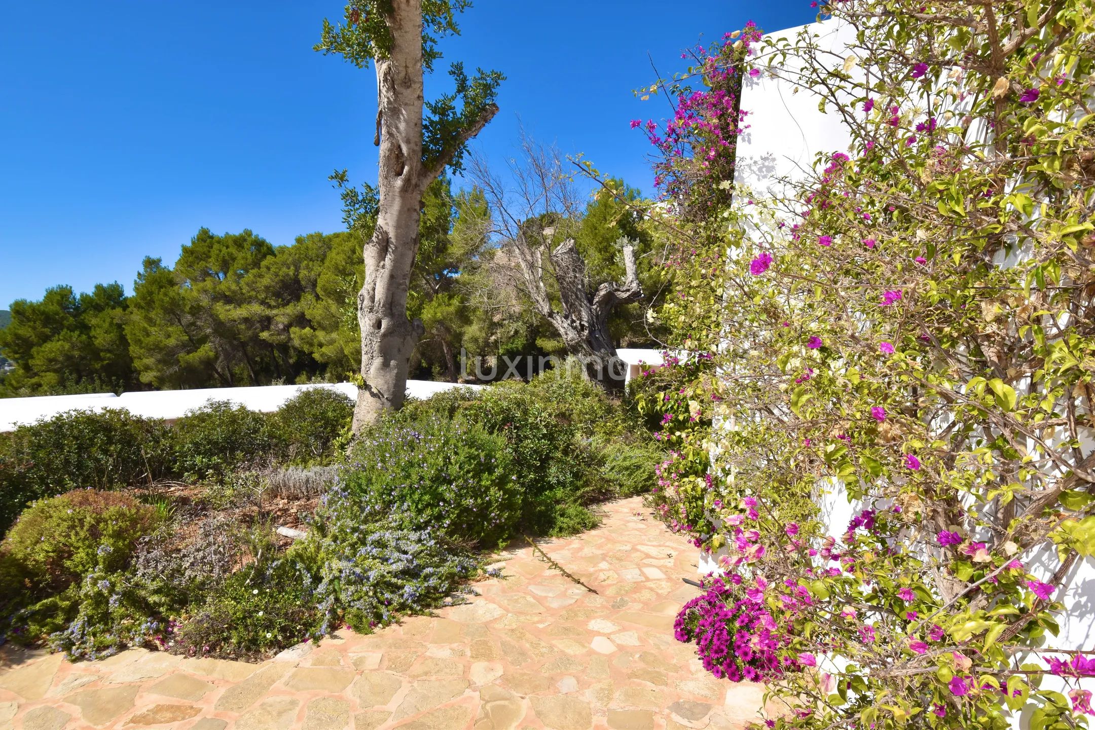 Svært privat, fabelaktig, nybygd Blakstad-finca nord på Ibiza — photo 22