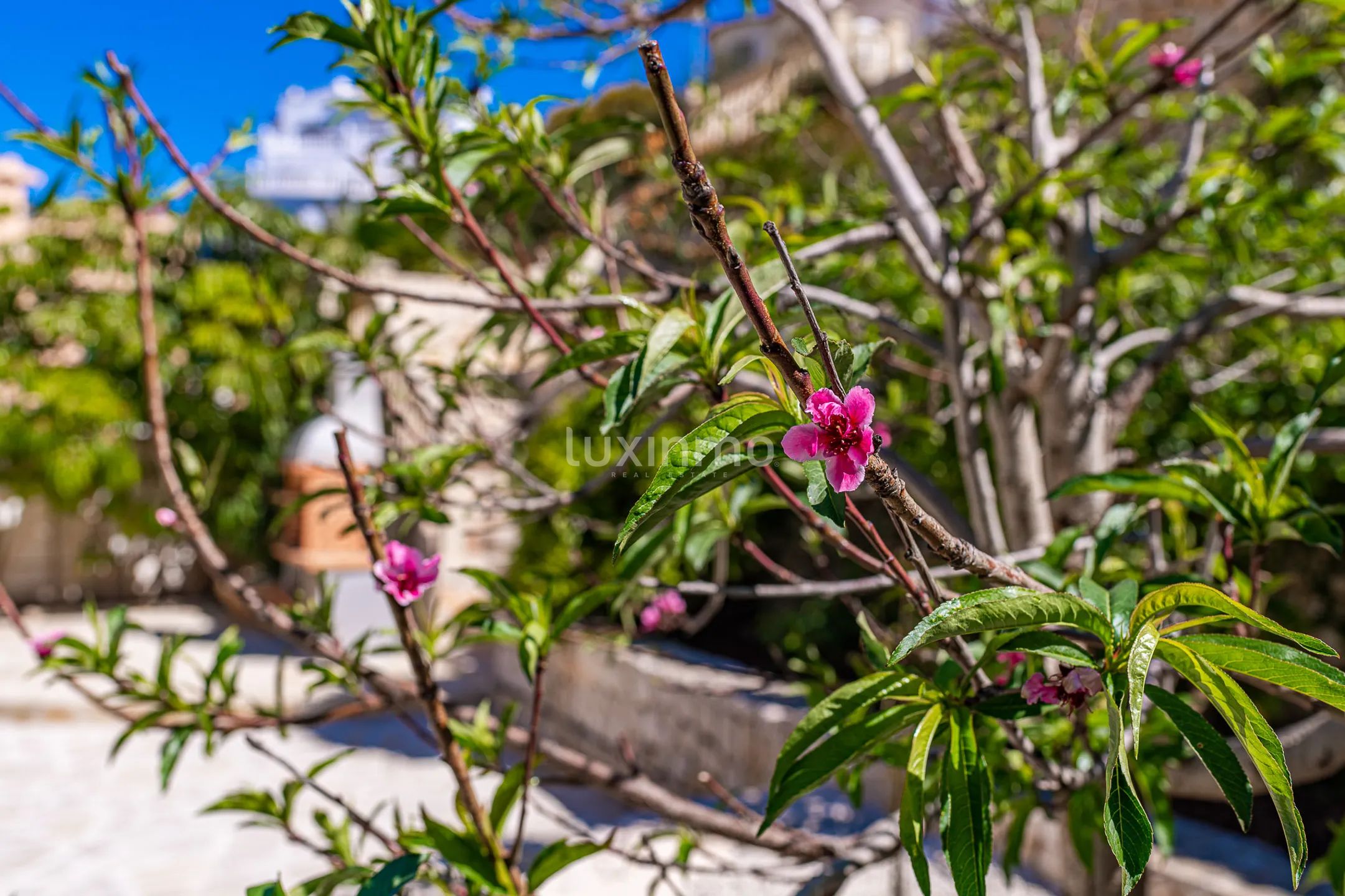 Impresionante chalet mediterráneo con vistas al mar en Benitachell — photo 26