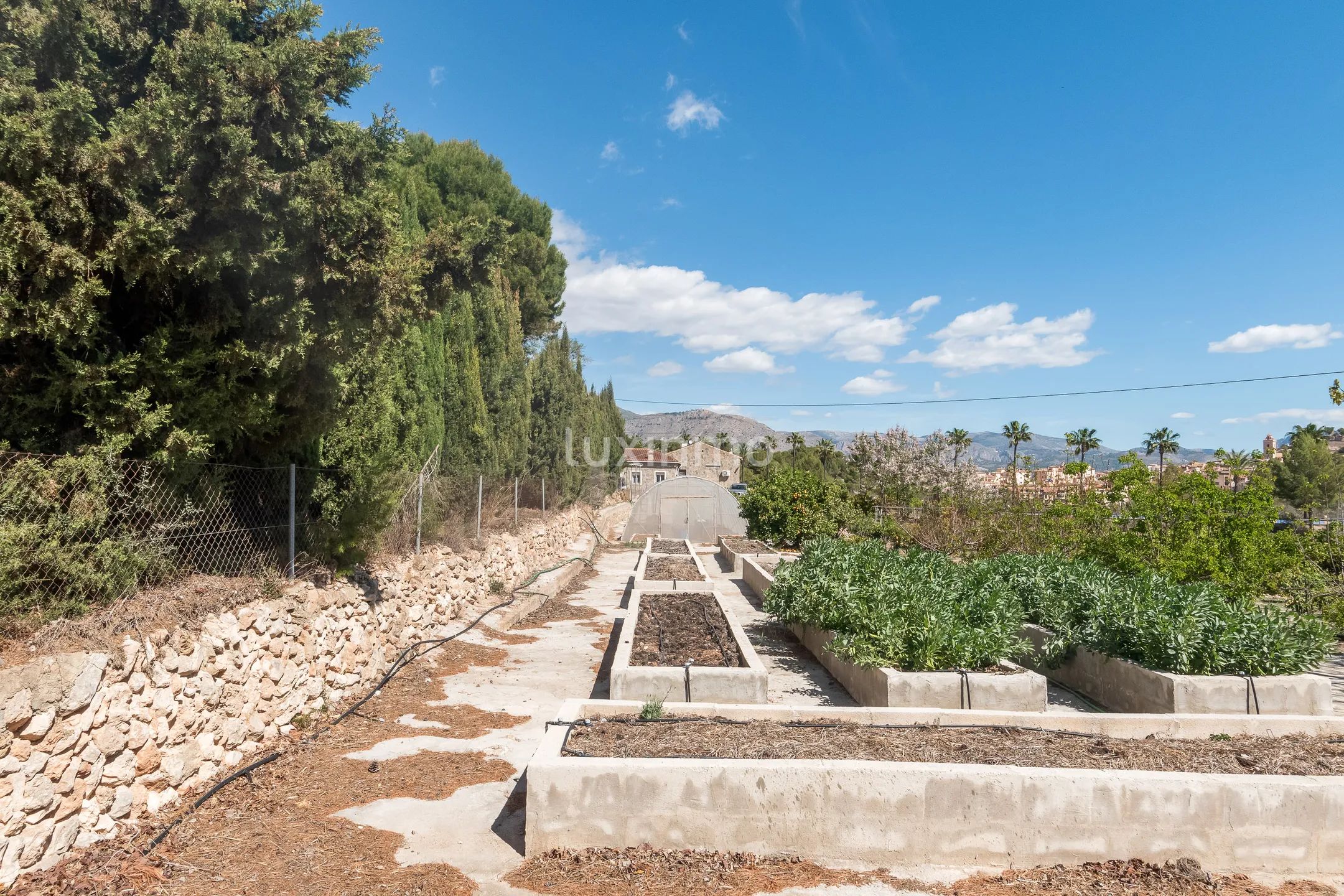 Charmant rustiek huis met veel grond te koop in La Nucia — photo 26