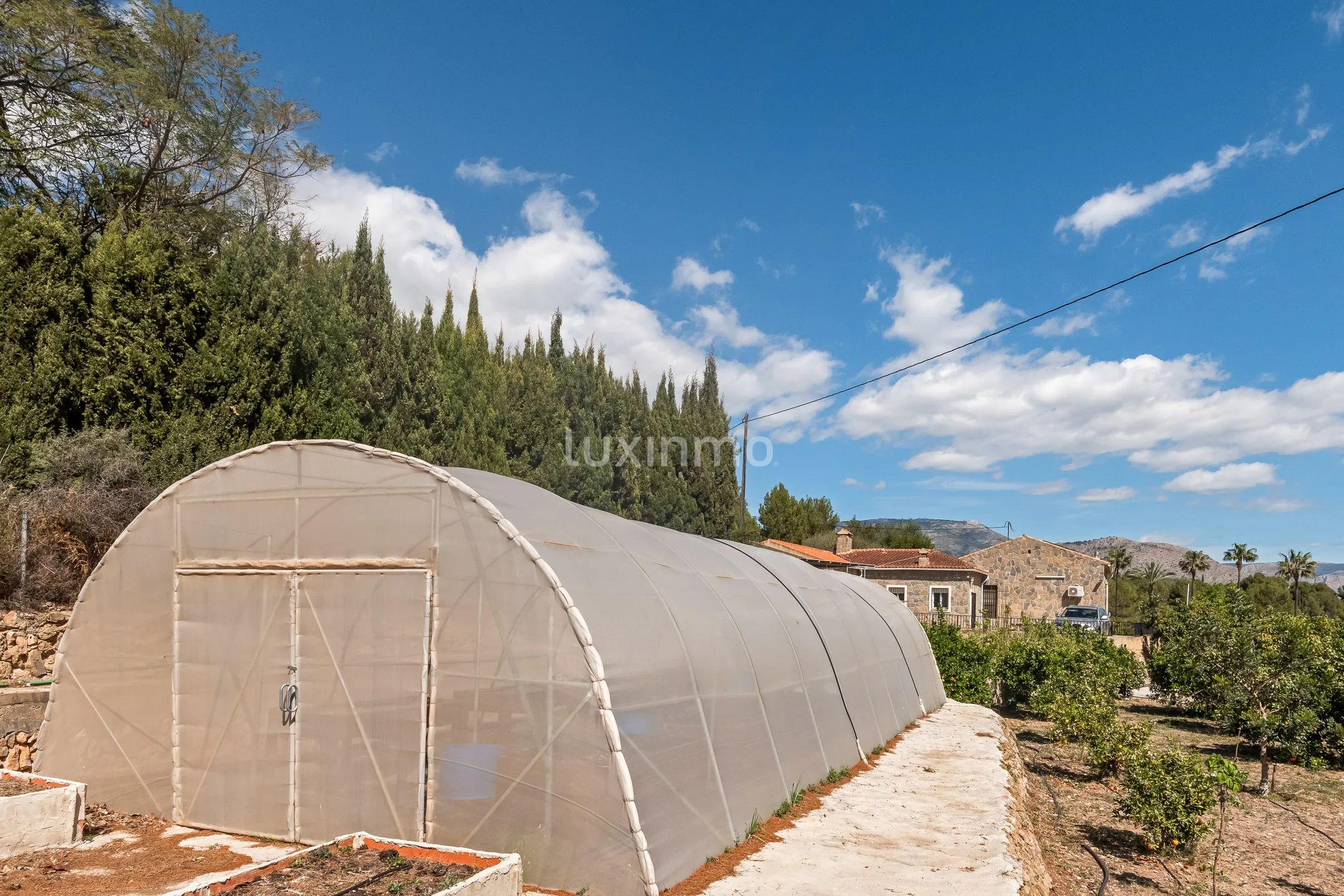 Charmant rustiek huis met veel grond te koop in La Nucia — photo 29
