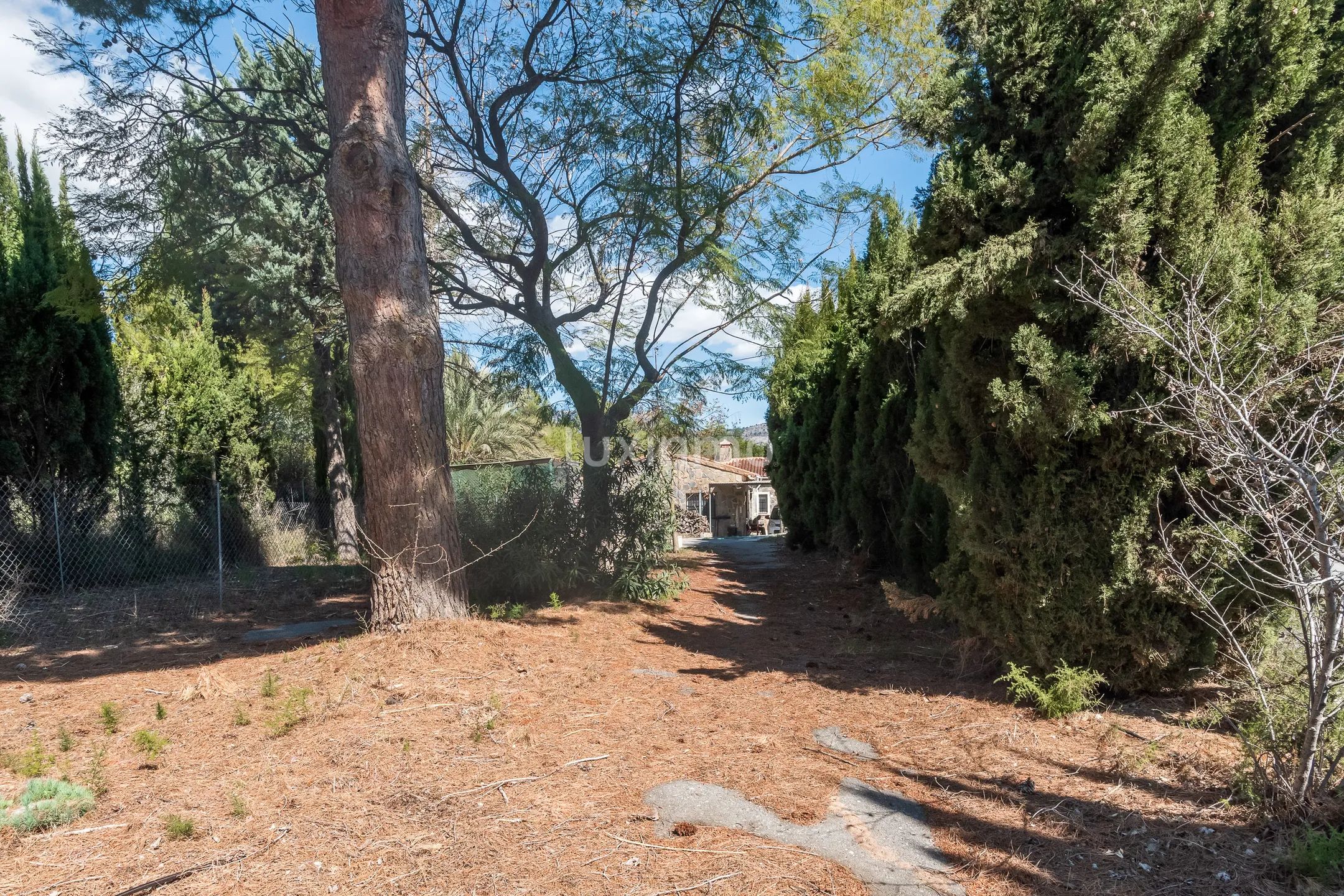 Charmant rustiek huis met veel grond te koop in La Nucia — photo 32