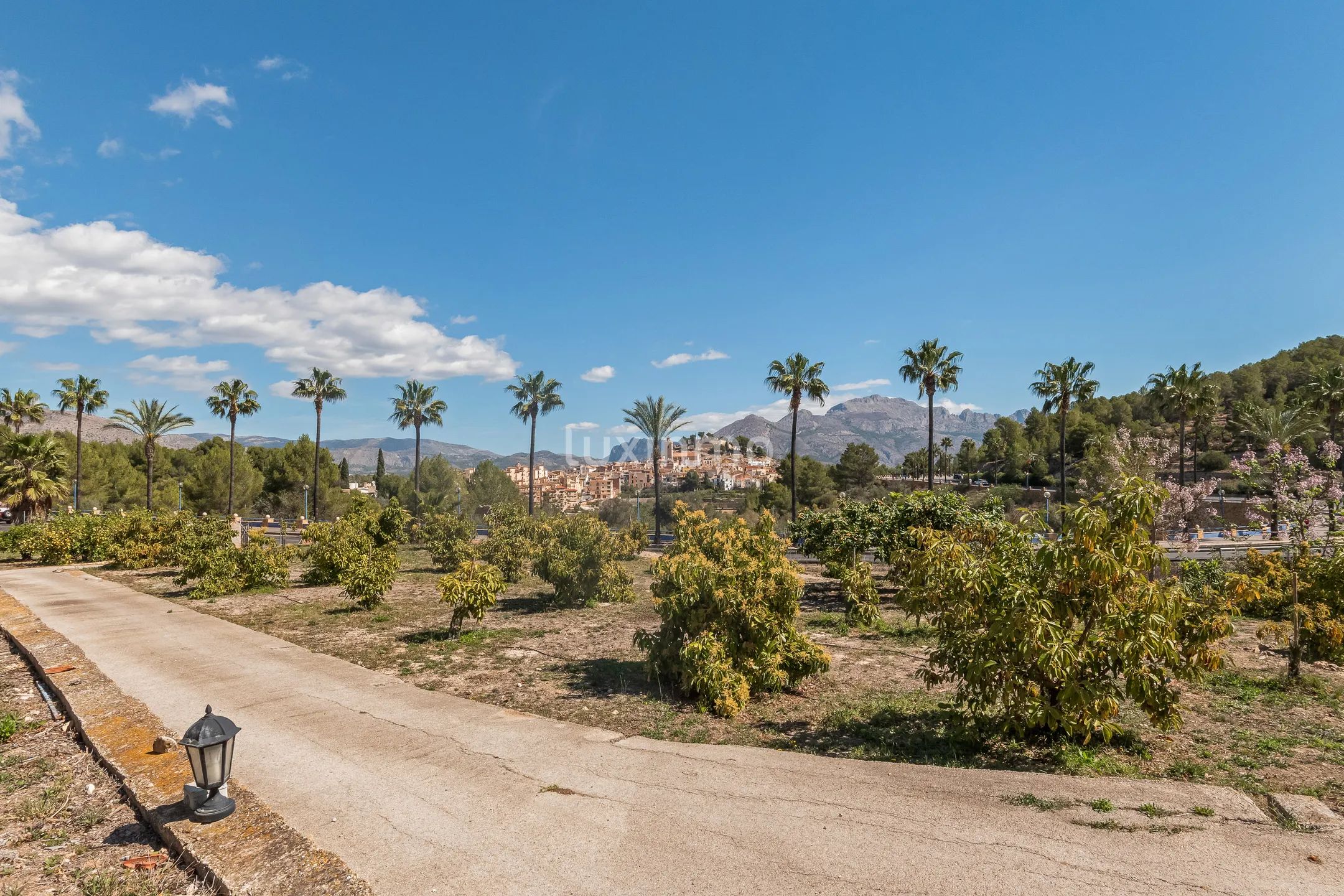 Charmant rustiek huis met veel grond te koop in La Nucia — photo 31
