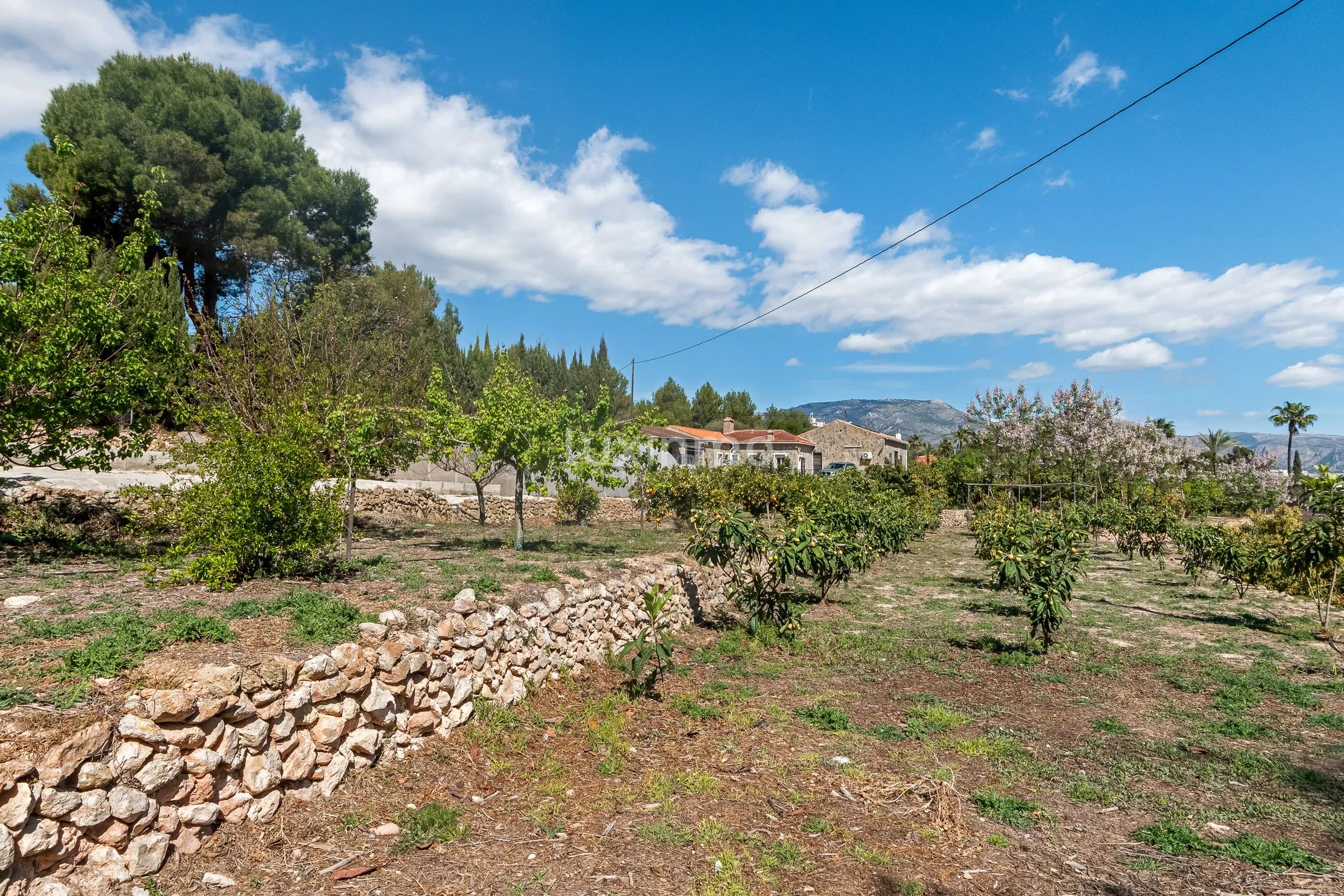 Charmant rustiek huis met veel grond te koop in La Nucia — photo 27