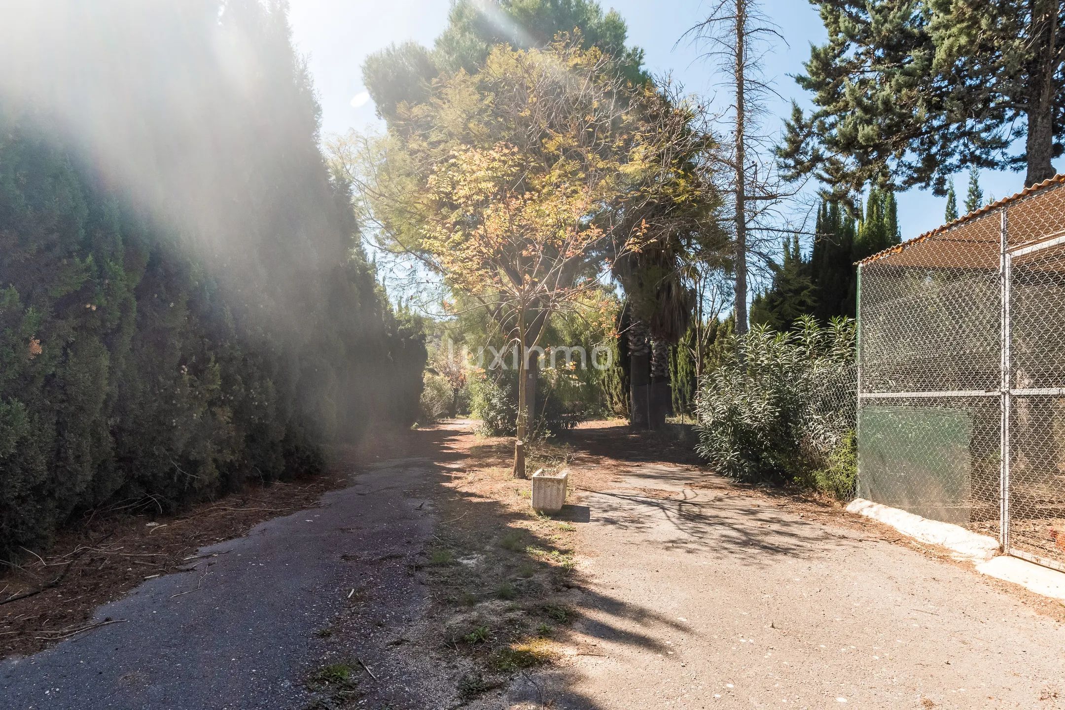 Charmant rustiek huis met veel grond te koop in La Nucia — photo 25