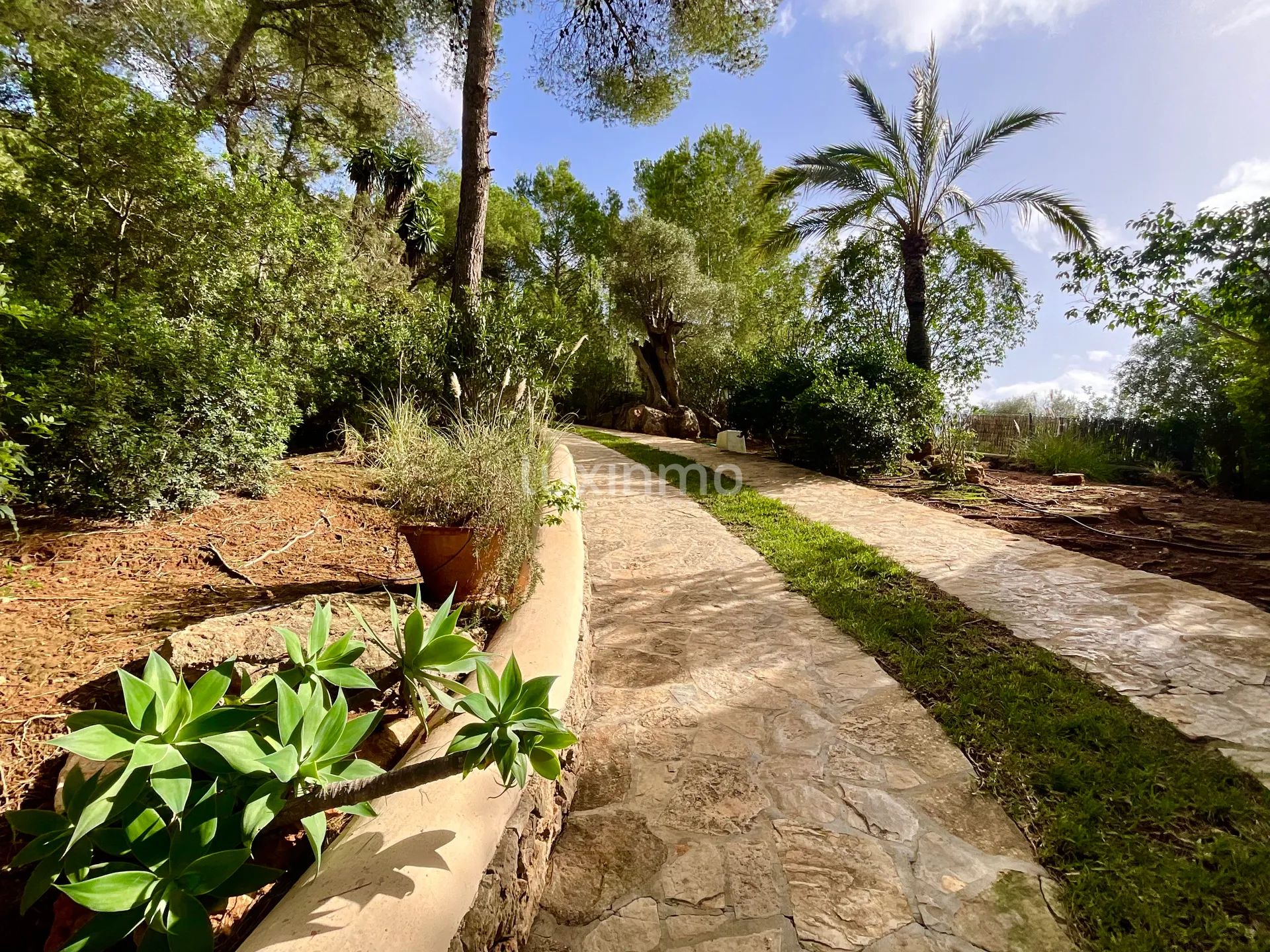 Charmigt hus i bohemisk stil i den mycket fridfulla Morna-dalen på Ibiza — photo 21
