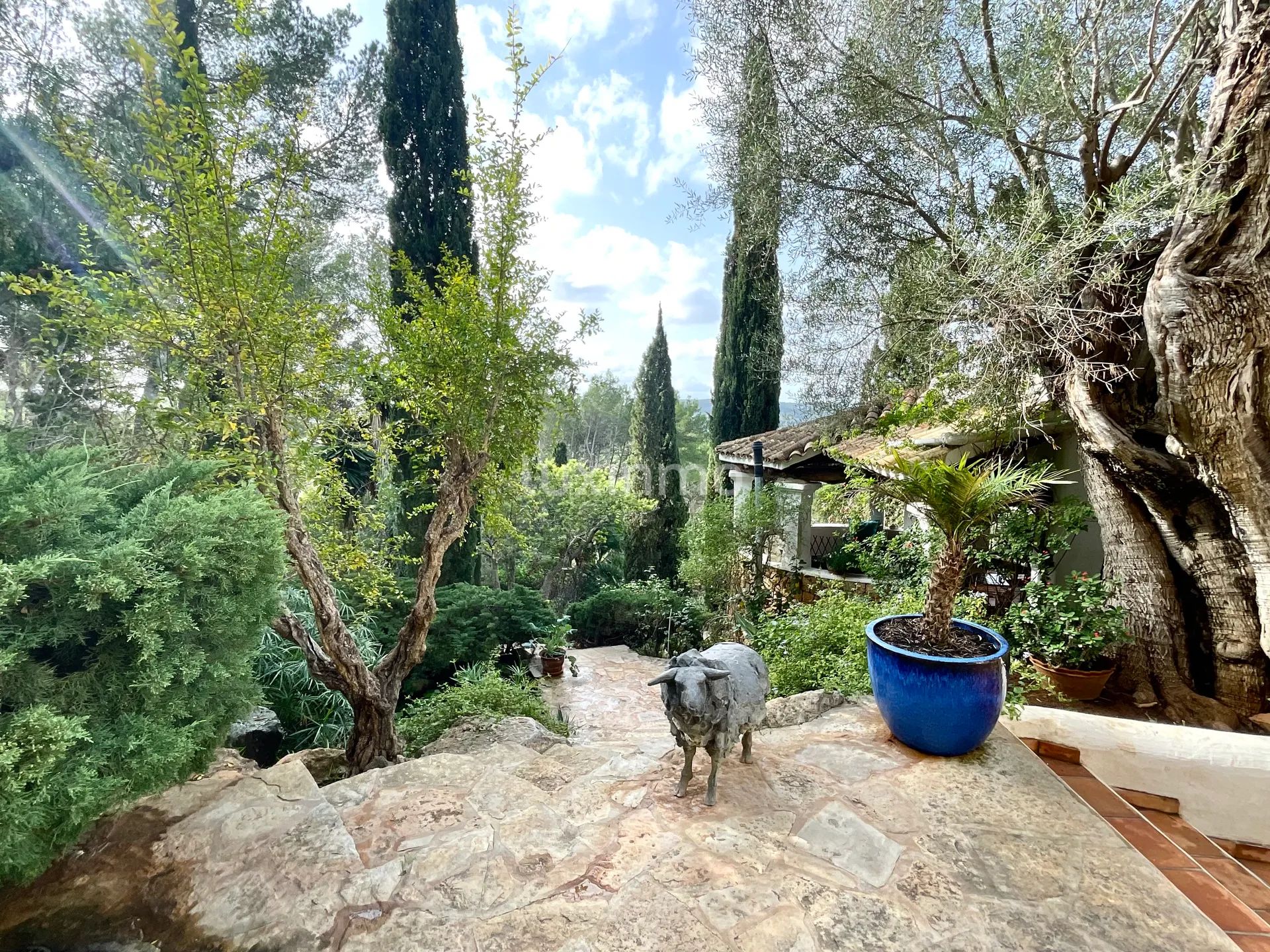 Sjarmerende hus i bohemsk stil i den svært rolige Morna-dalen på Ibiza — photo 26