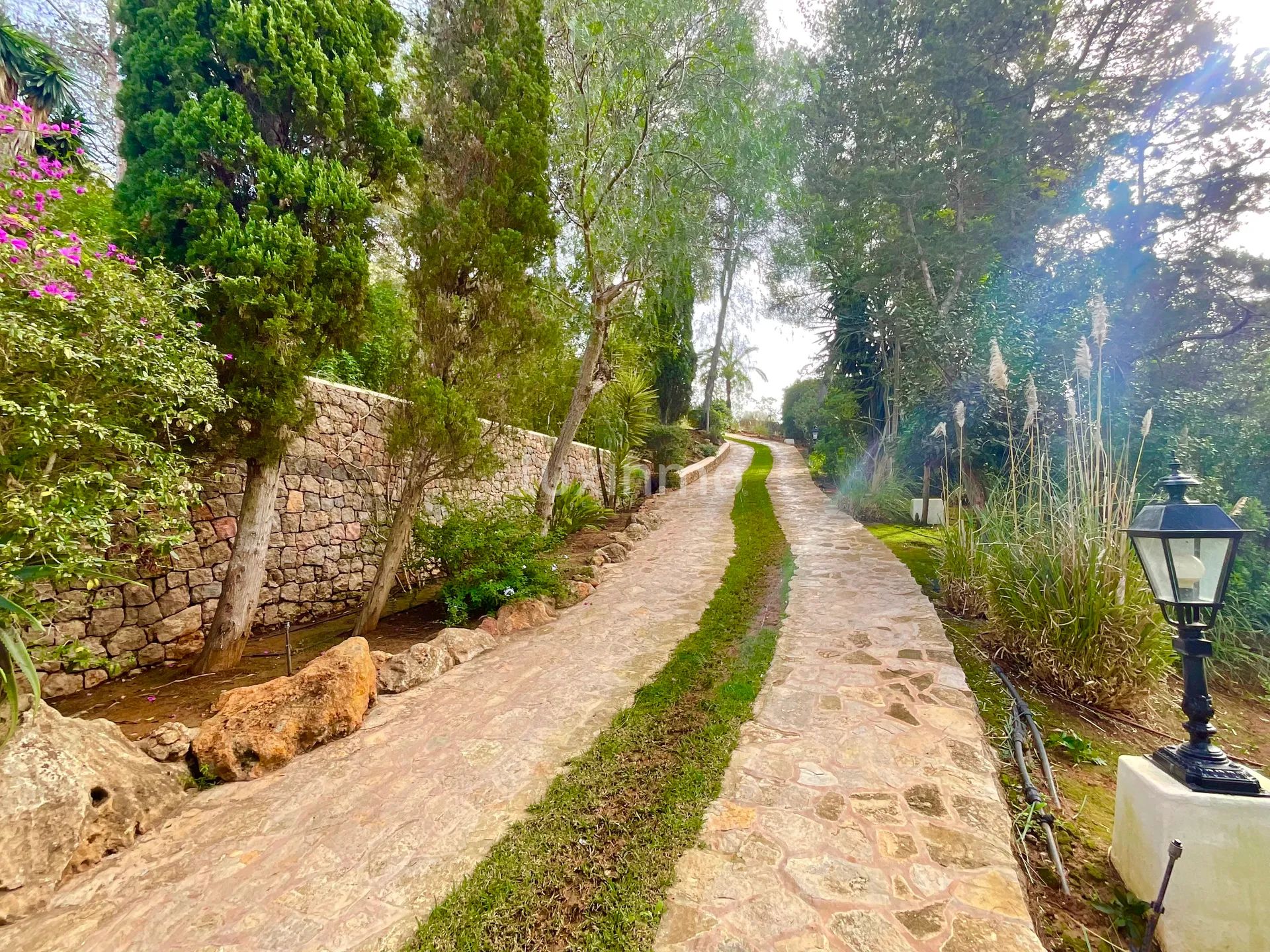 Sjarmerende hus i bohemsk stil i den svært rolige Morna-dalen på Ibiza — photo 27