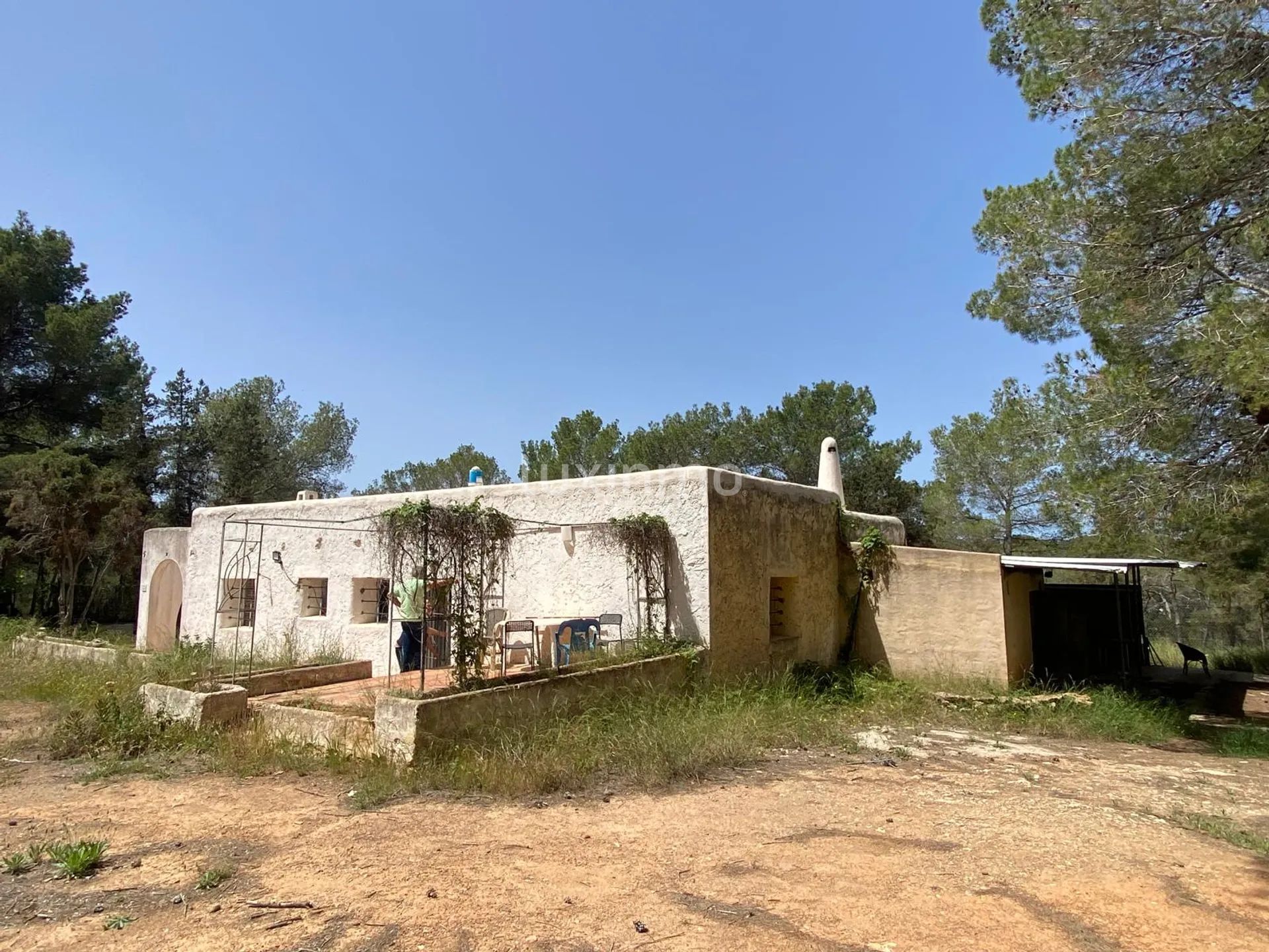 Great Opportunity for a Renovation Project in Ibiza — photo 6