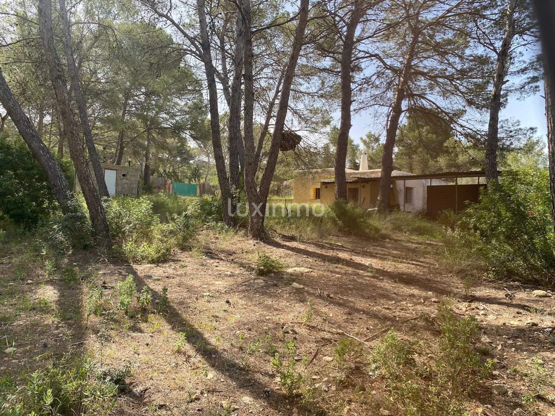 Geweldige kans voor een renovatieproject in Ibiza — photo 17