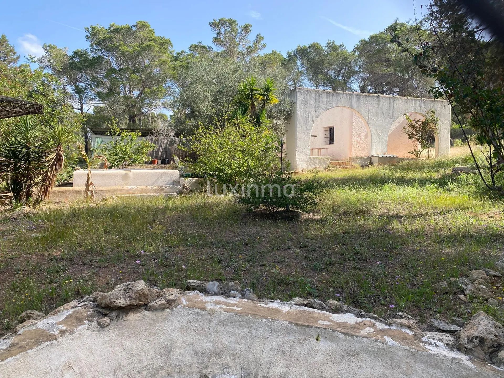Great Opportunity for a Renovation Project in Ibiza — photo 18