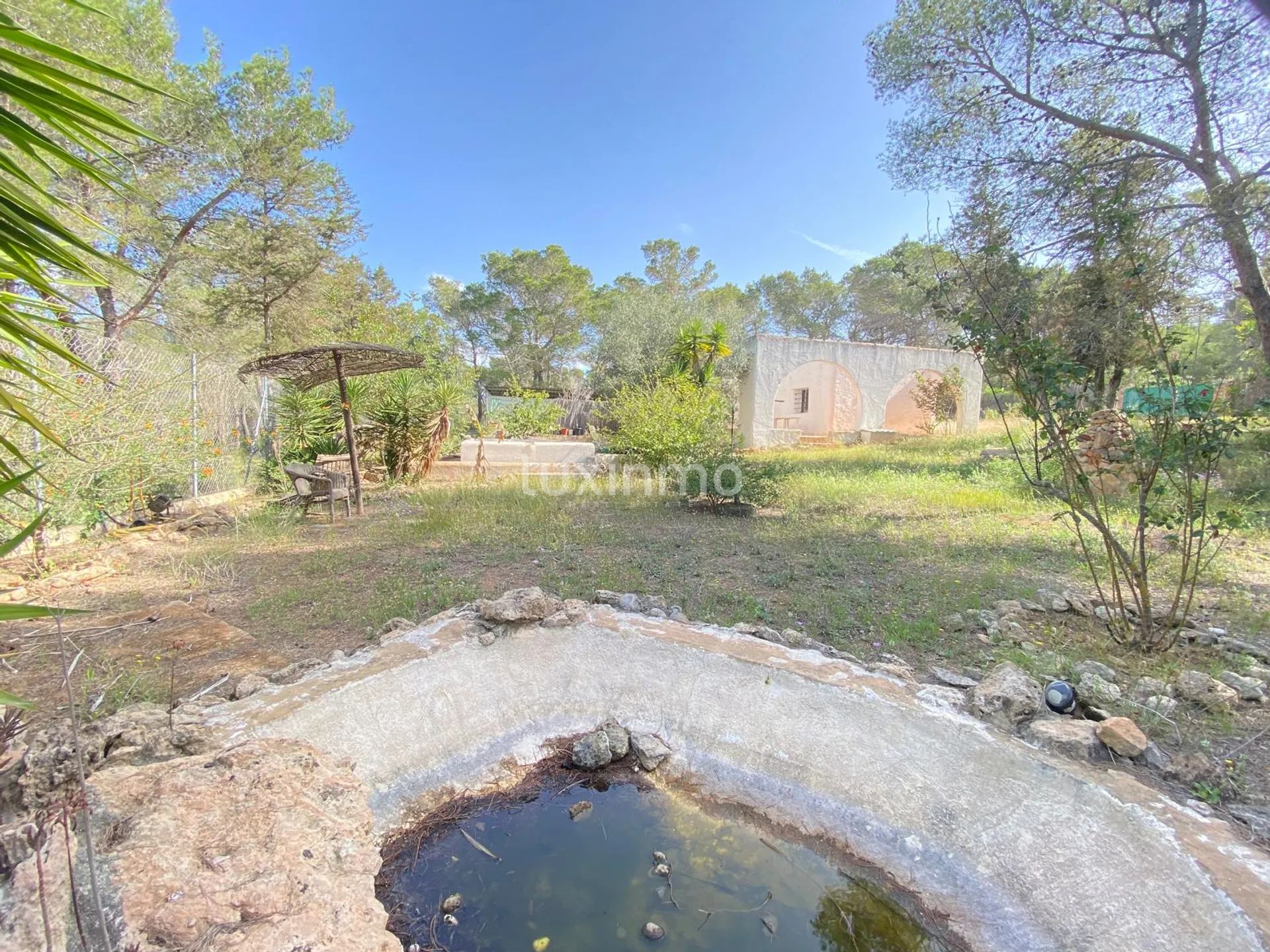Geweldige kans voor een renovatieproject in Ibiza — photo 14