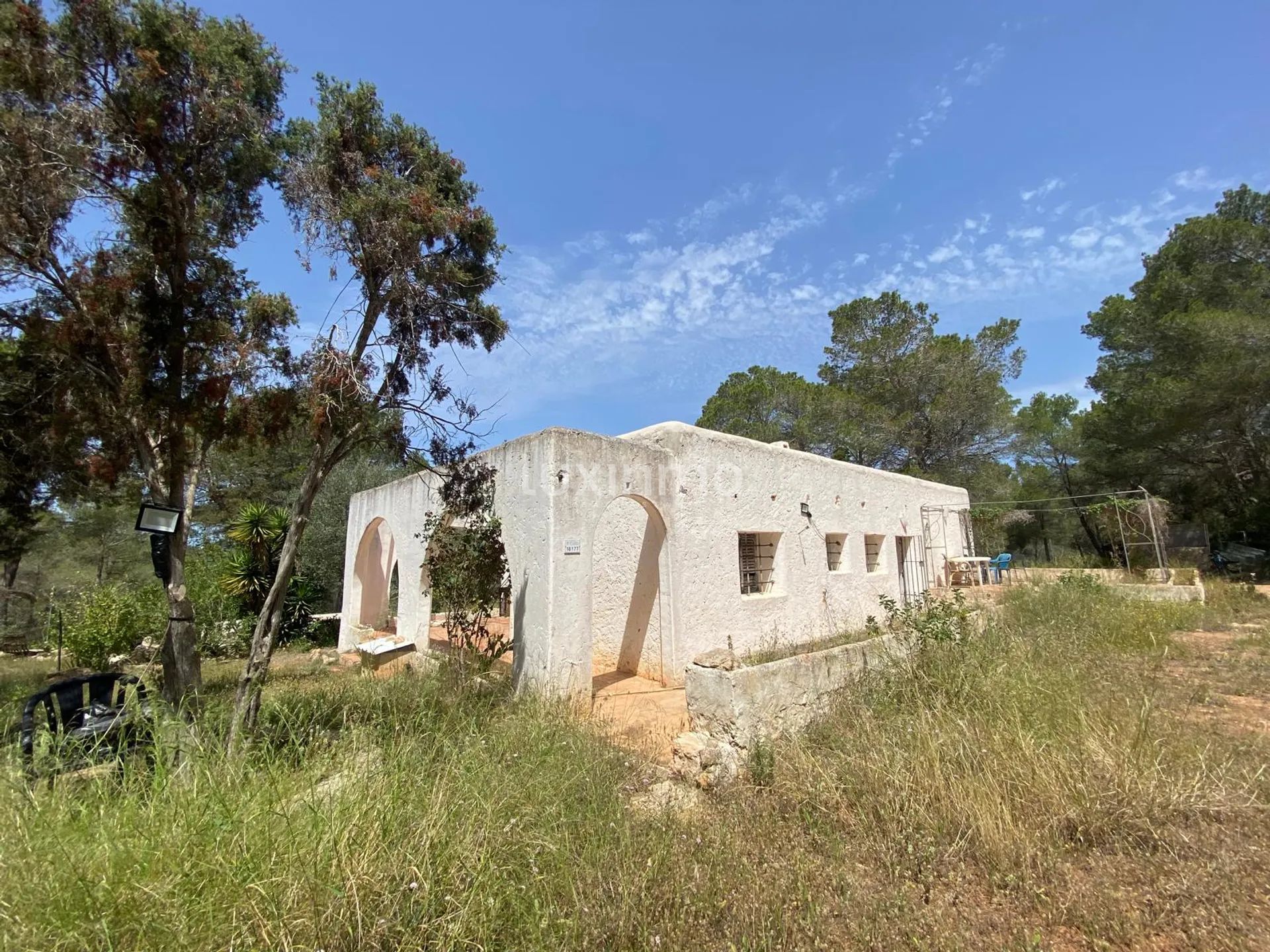 Geweldige kans voor een renovatieproject in Ibiza — photo 13