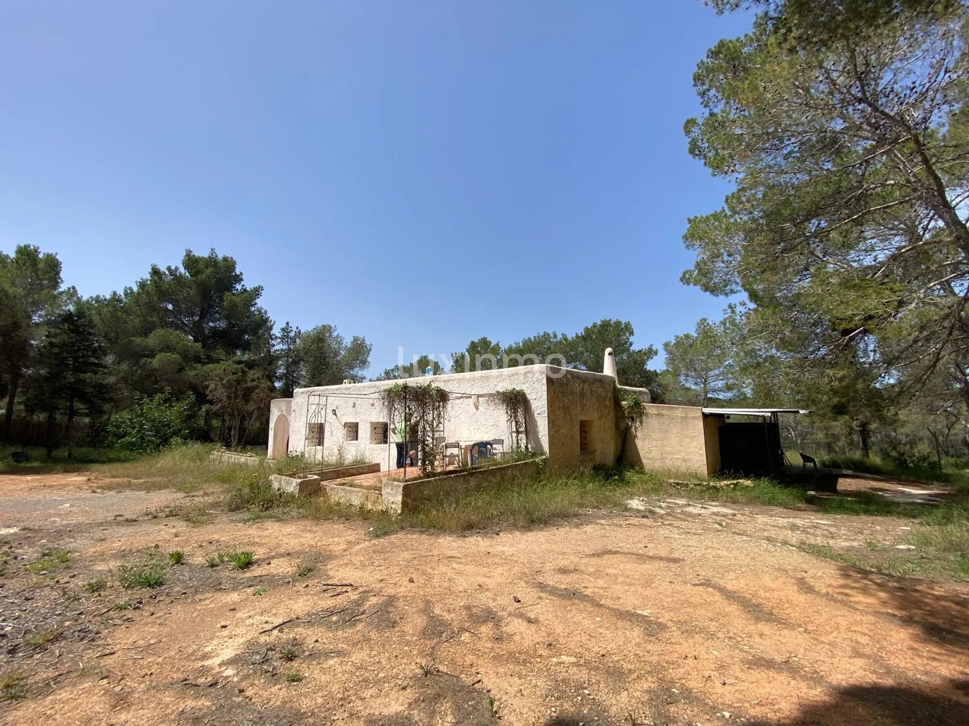 Great Opportunity for a Renovation Project in Ibiza — photo 7