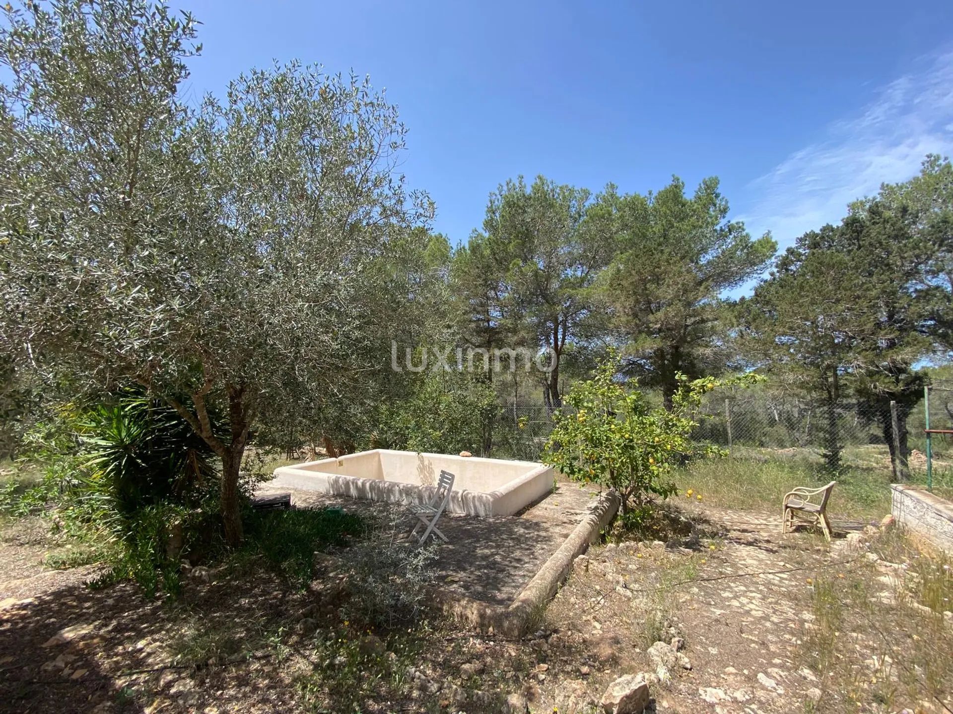 Great Opportunity for a Renovation Project in Ibiza — photo 11