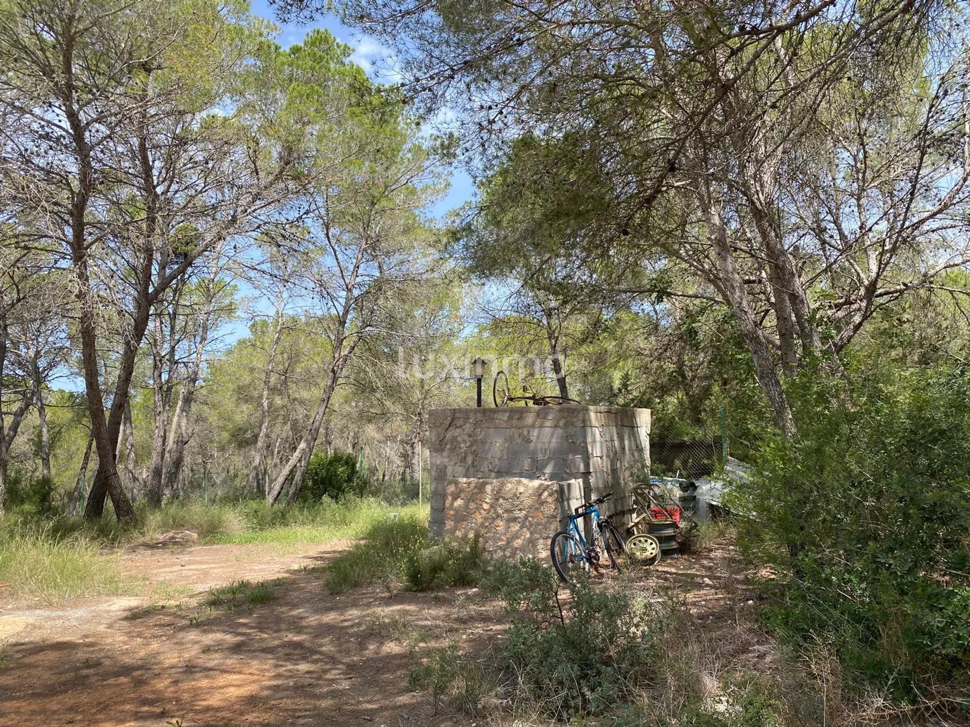 Great Opportunity for a Renovation Project in Ibiza — photo 16