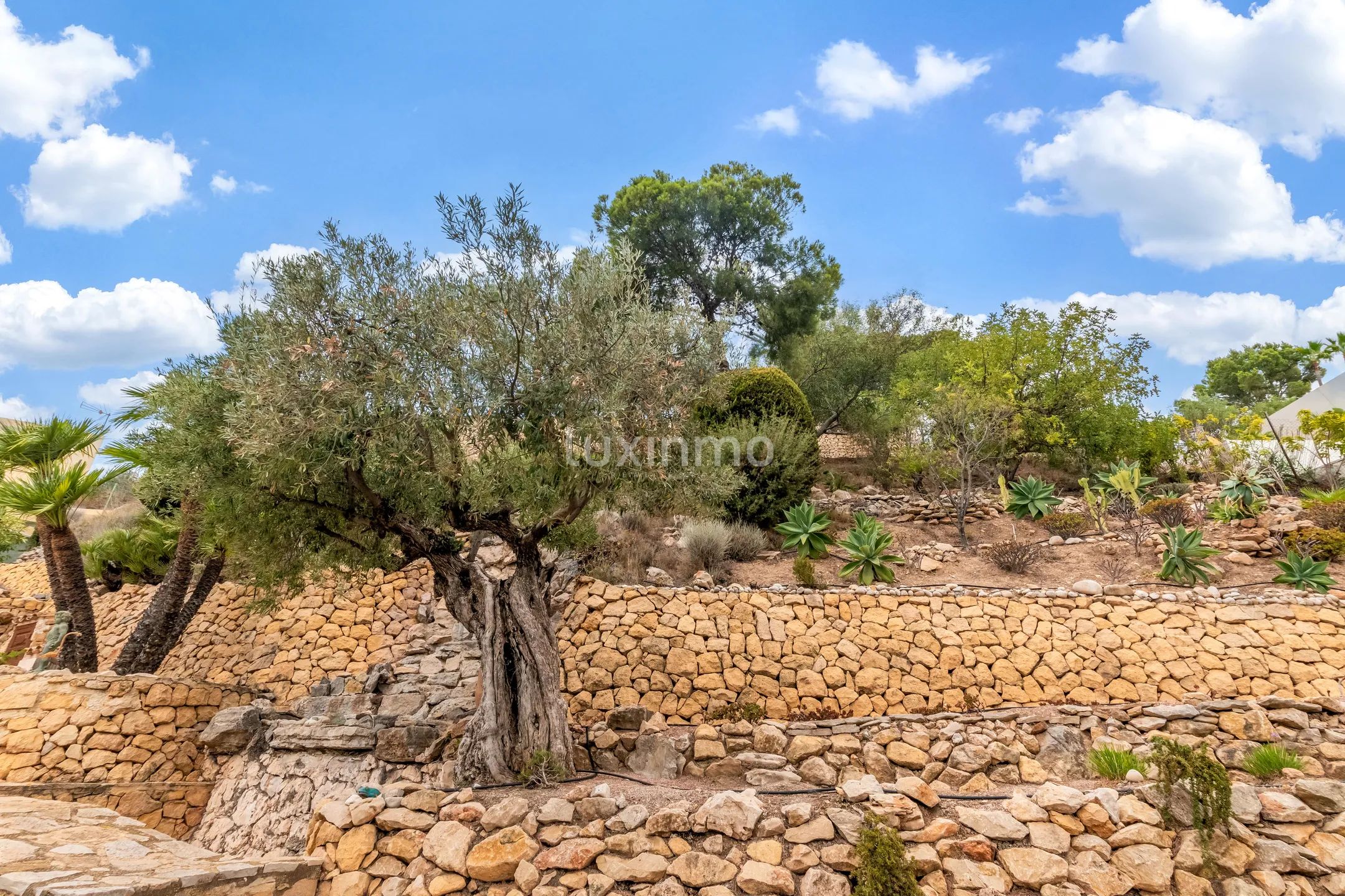 Atemberaubende Meerblick bebaubares Grundstück in Altea la Vella — photo 12