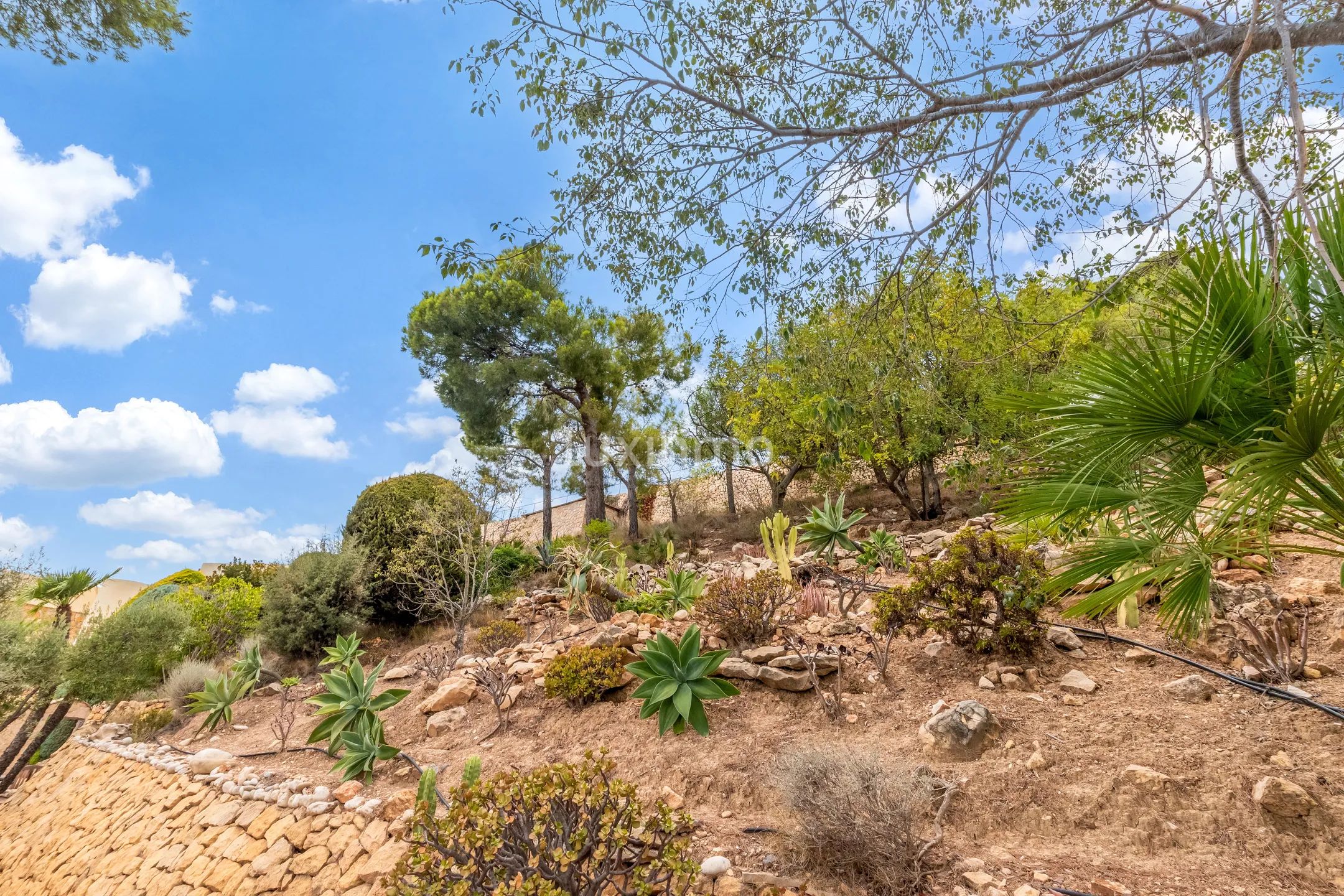 Atemberaubende Meerblick bebaubares Grundstück in Altea la Vella — photo 9