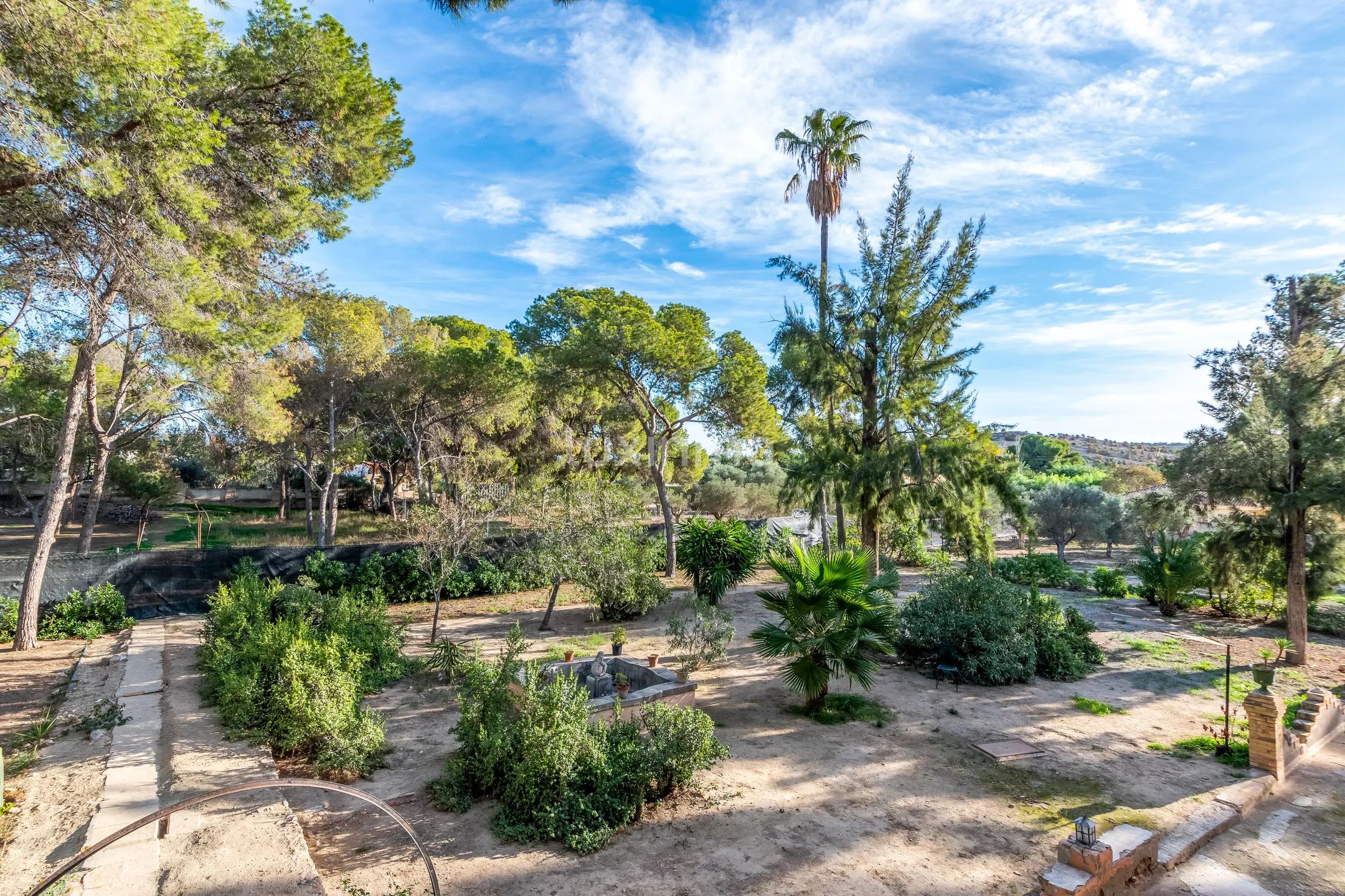 Очаровательная историческая финка с 6 спальнями в Аликанте — photo 47