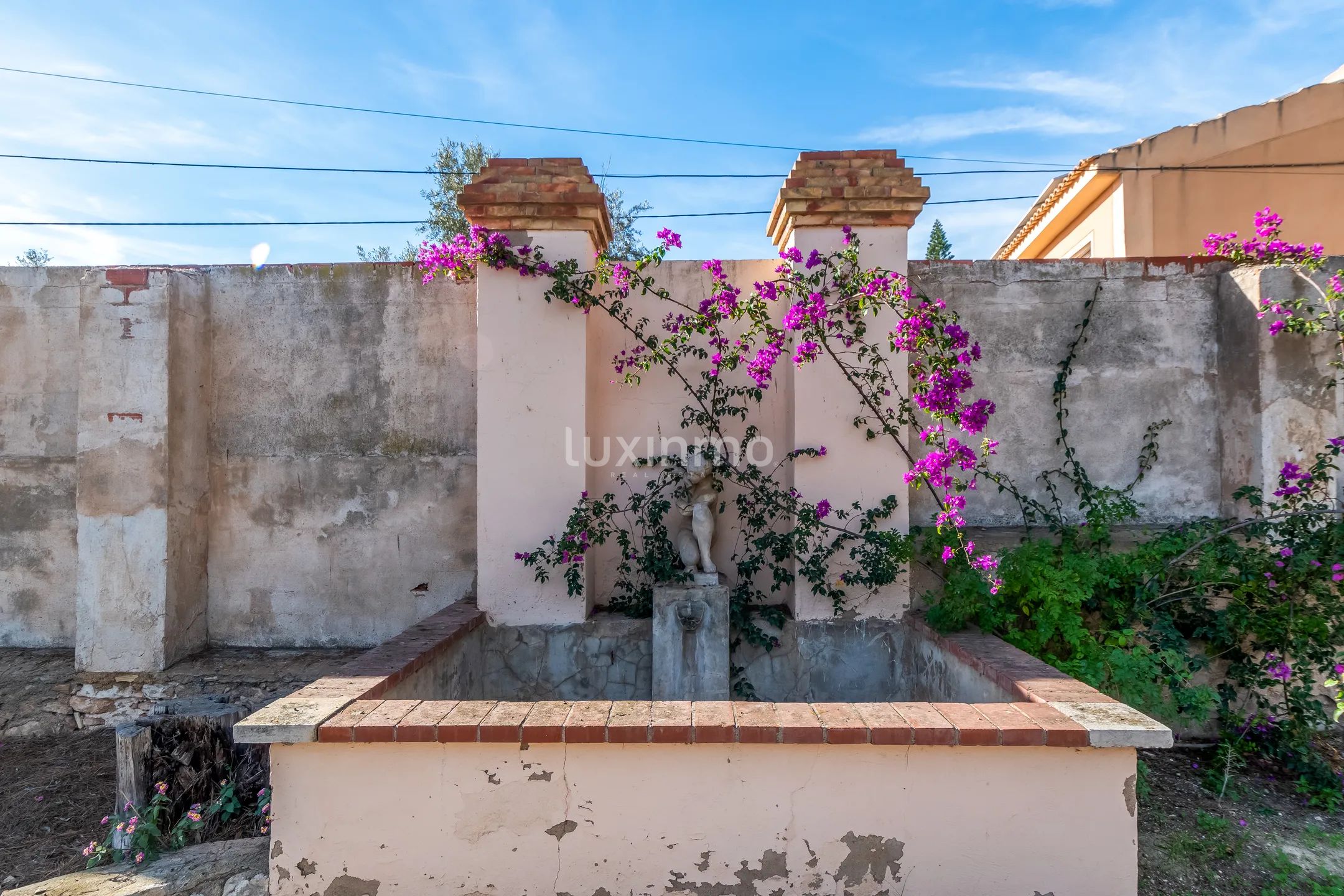 Очаровательная историческая финка с 6 спальнями в Аликанте — photo 49