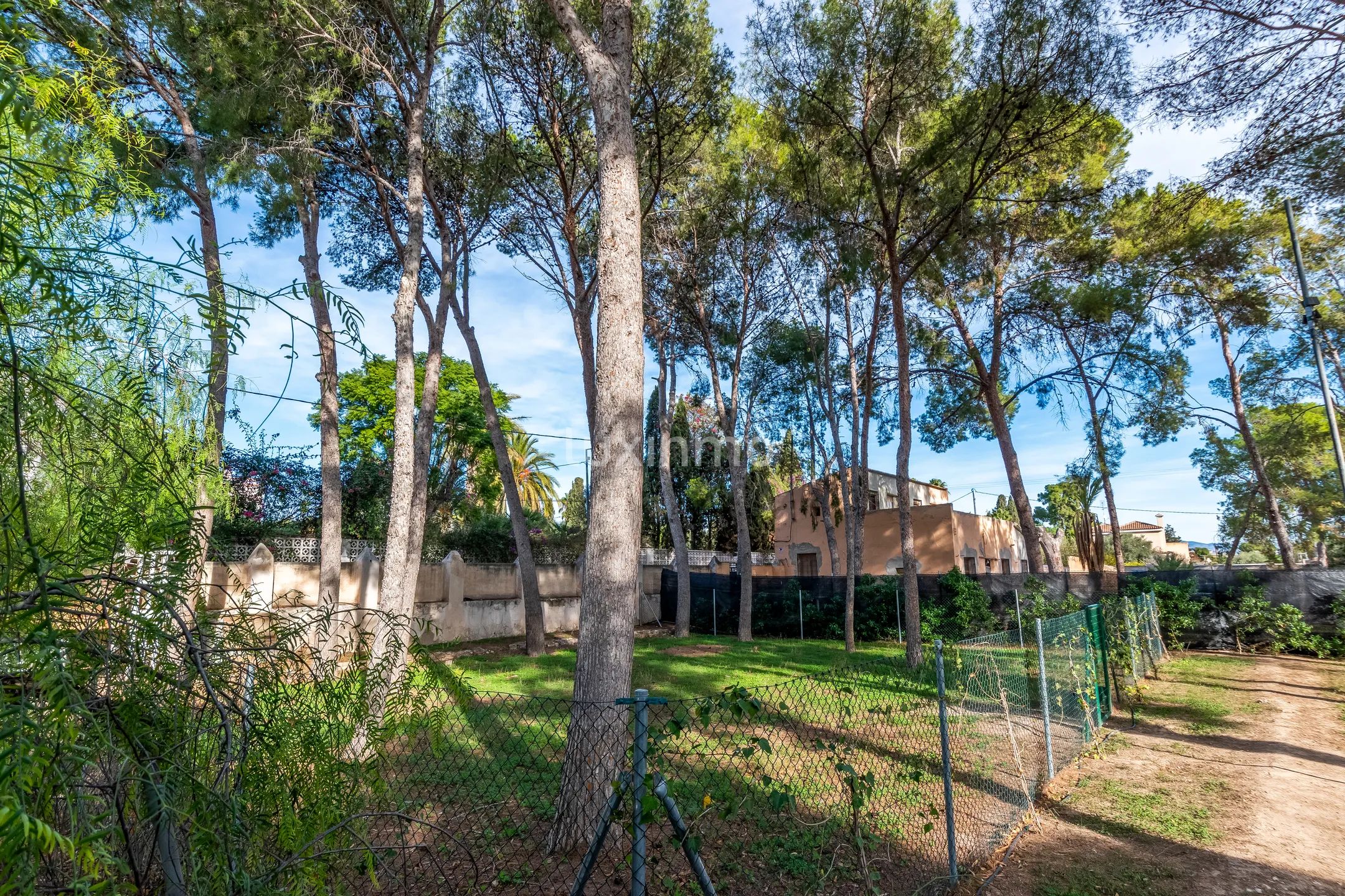 Очаровательная историческая финка с 6 спальнями в Аликанте — photo 64