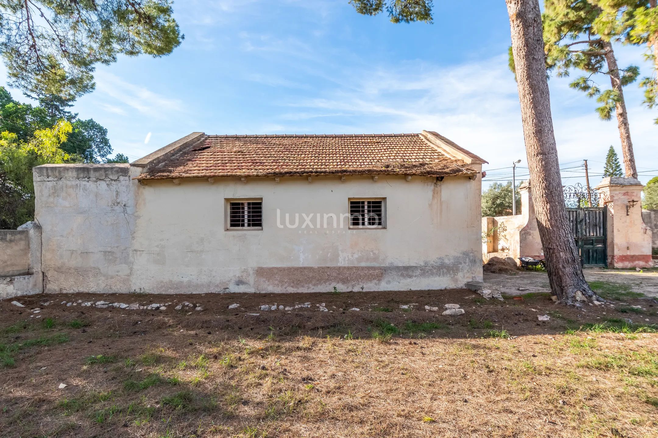 Очаровательная историческая финка с 6 спальнями в Аликанте — photo 59