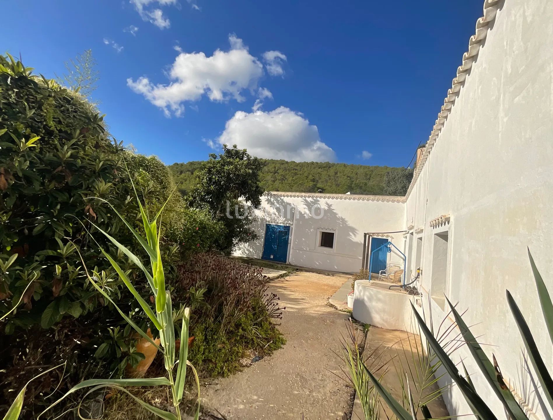 Encantadora Finca Ibicenca en Santa Agnes-Sant Mateu — photo 9