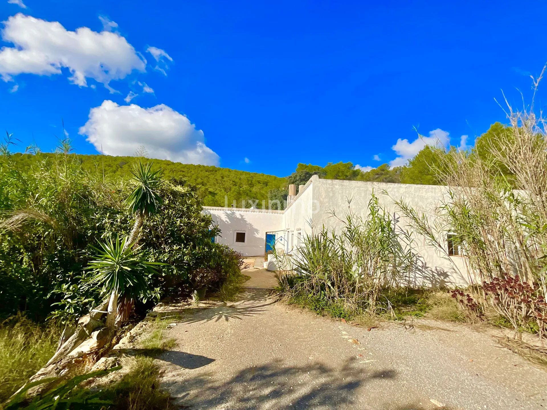 Zeer Charmant Ibicenco Finca Huis in Santa Agnes-Sant Mateu — photo 4