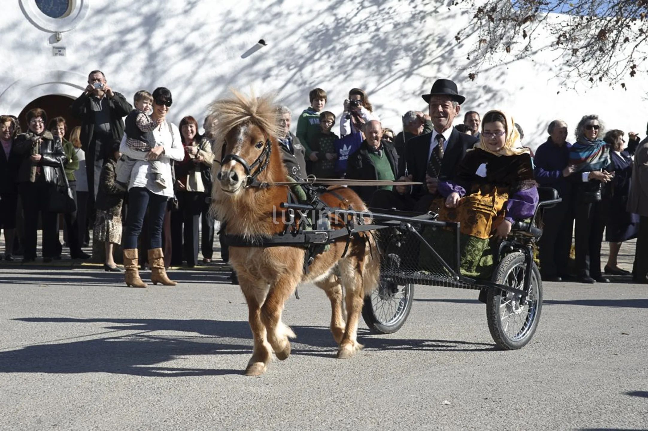 Encantadora Finca Ibicenca en Santa Agnes-Sant Mateu — photo 46