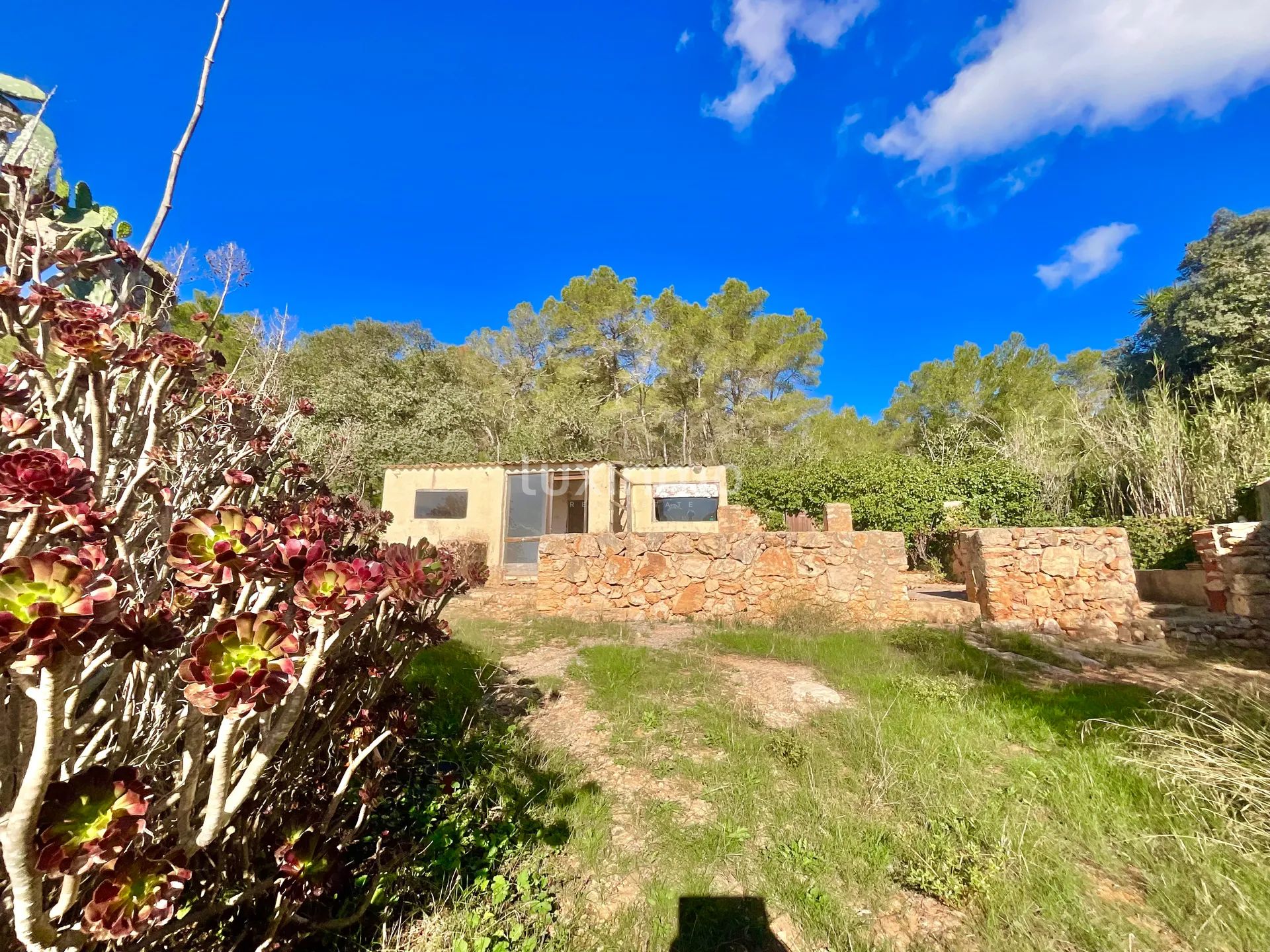 Encantadora Finca Ibicenca en Santa Agnes-Sant Mateu — photo 26