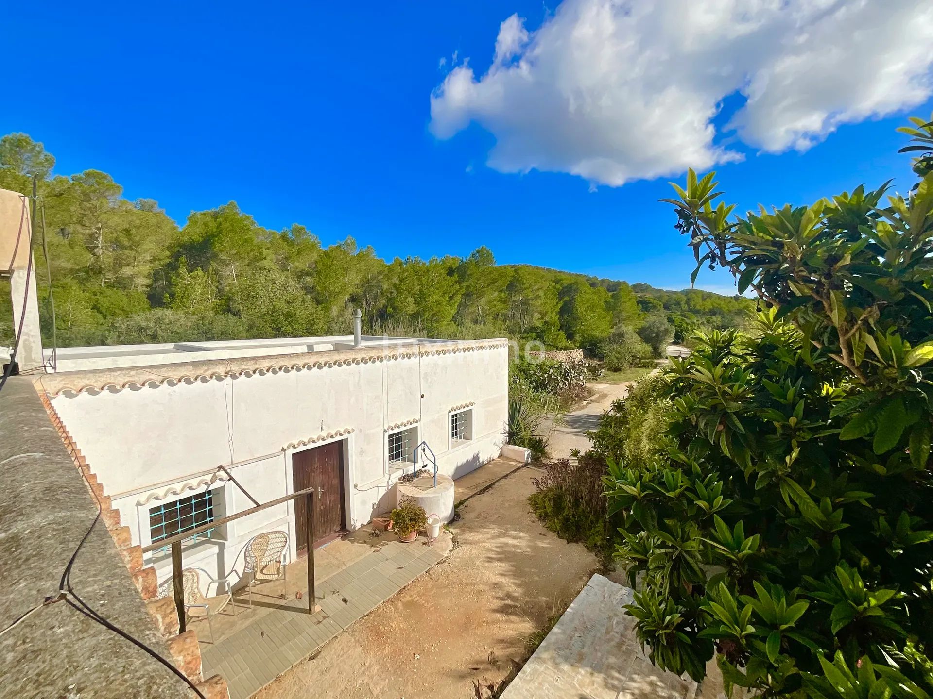 Zeer Charmant Ibicenco Finca Huis in Santa Agnes-Sant Mateu — photo 10