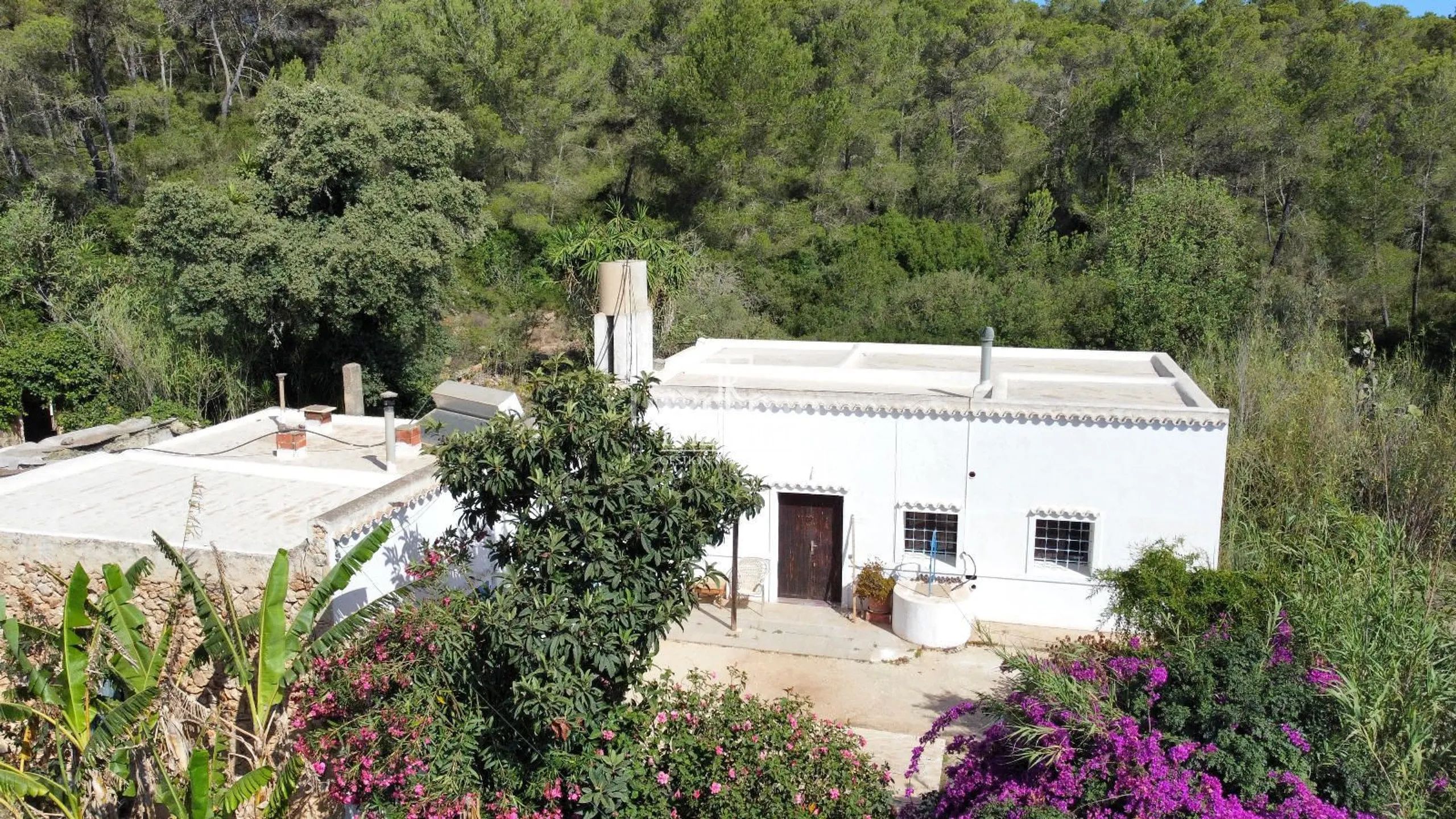 Zeer Charmant Ibicenco Finca Huis in Santa Agnes-Sant Mateu — photo 2