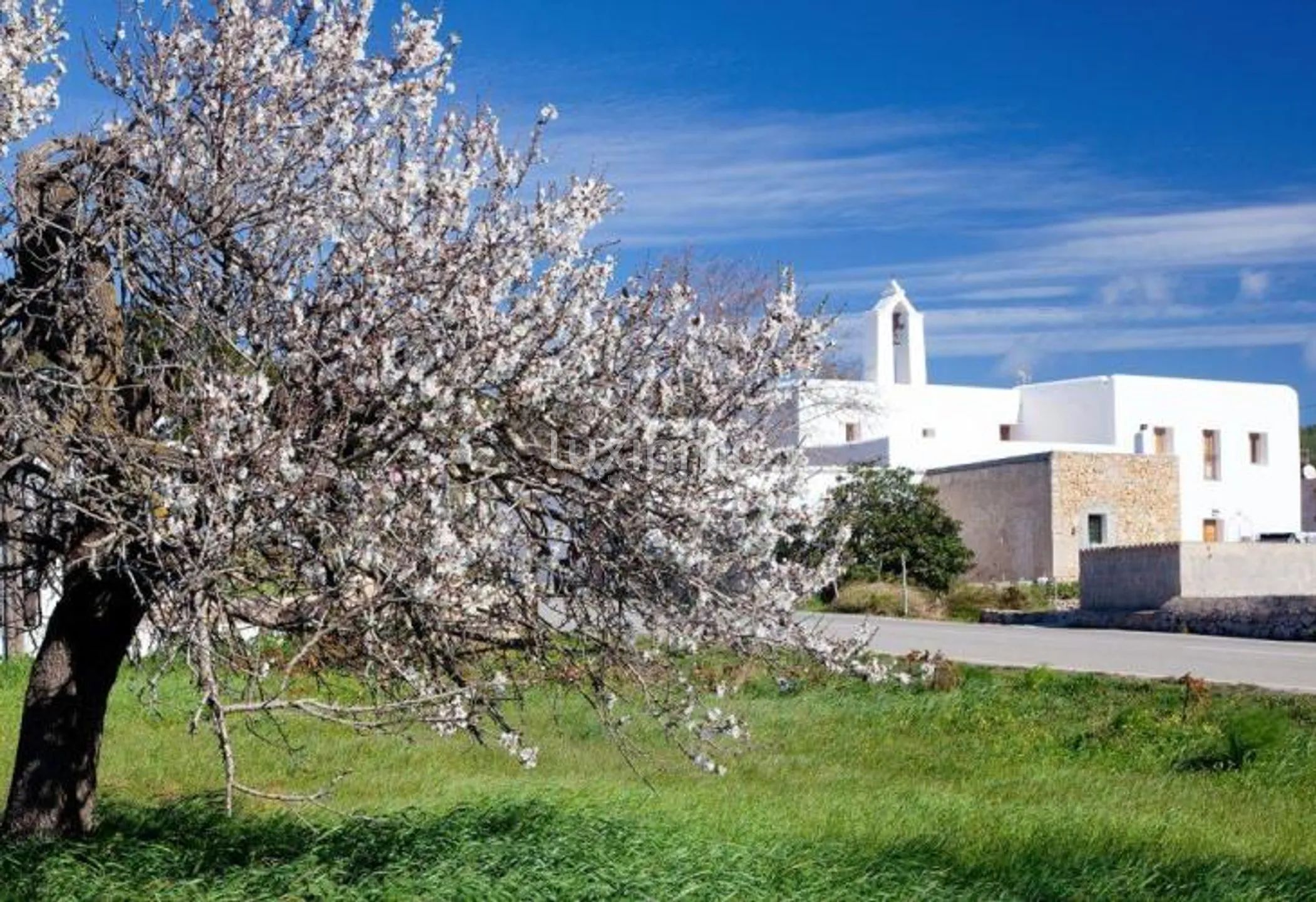 Zeer Charmant Ibicenco Finca Huis in Santa Agnes-Sant Mateu — photo 41