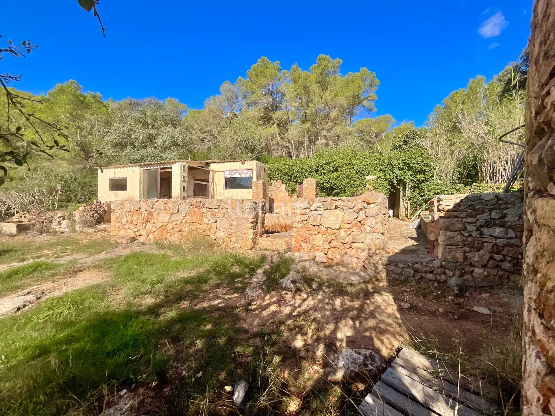 Encantadora Finca Ibicenca en Santa Agnes-Sant Mateu — photo 32