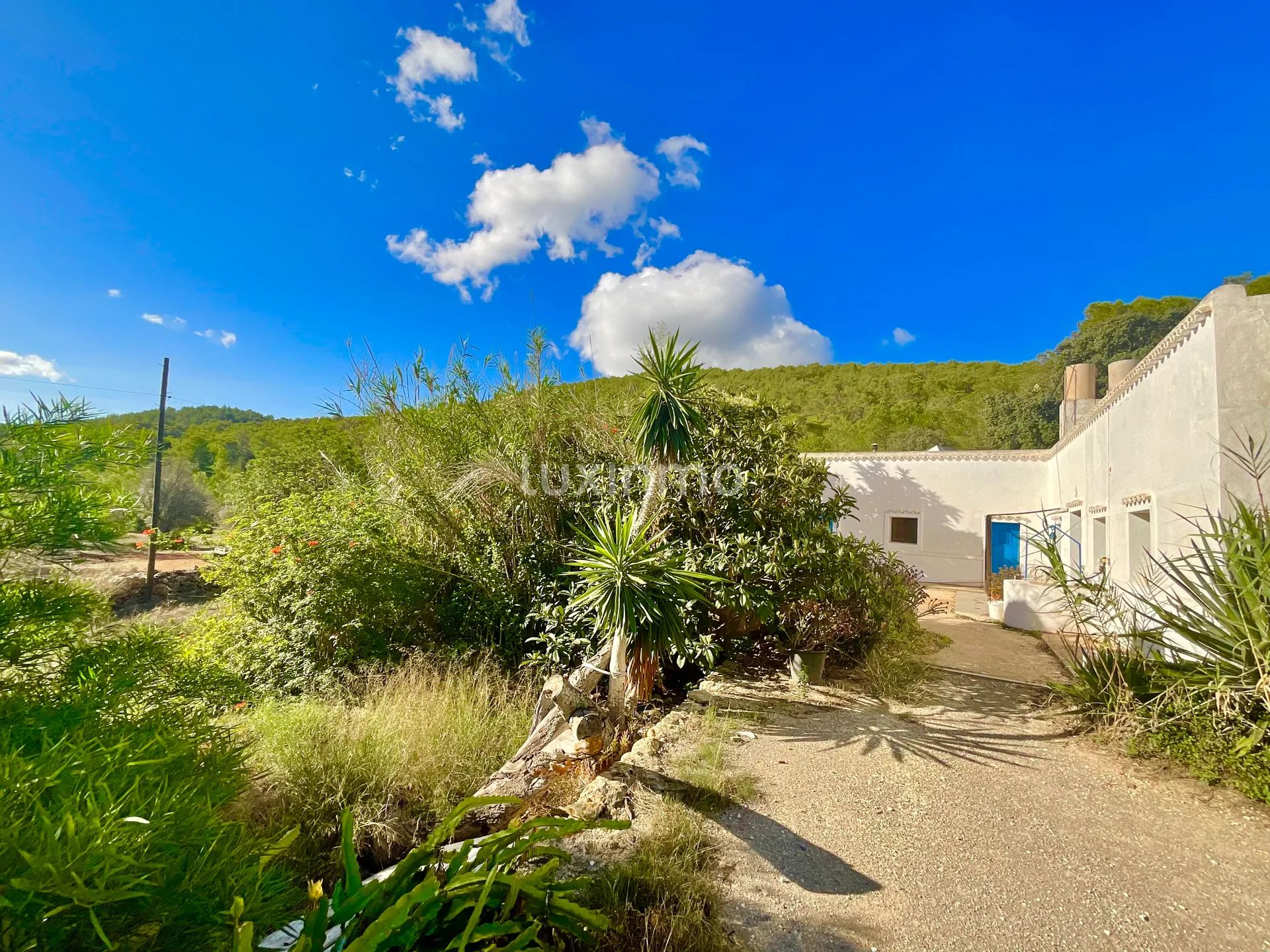 Zeer Charmant Ibicenco Finca Huis in Santa Agnes-Sant Mateu — photo 38