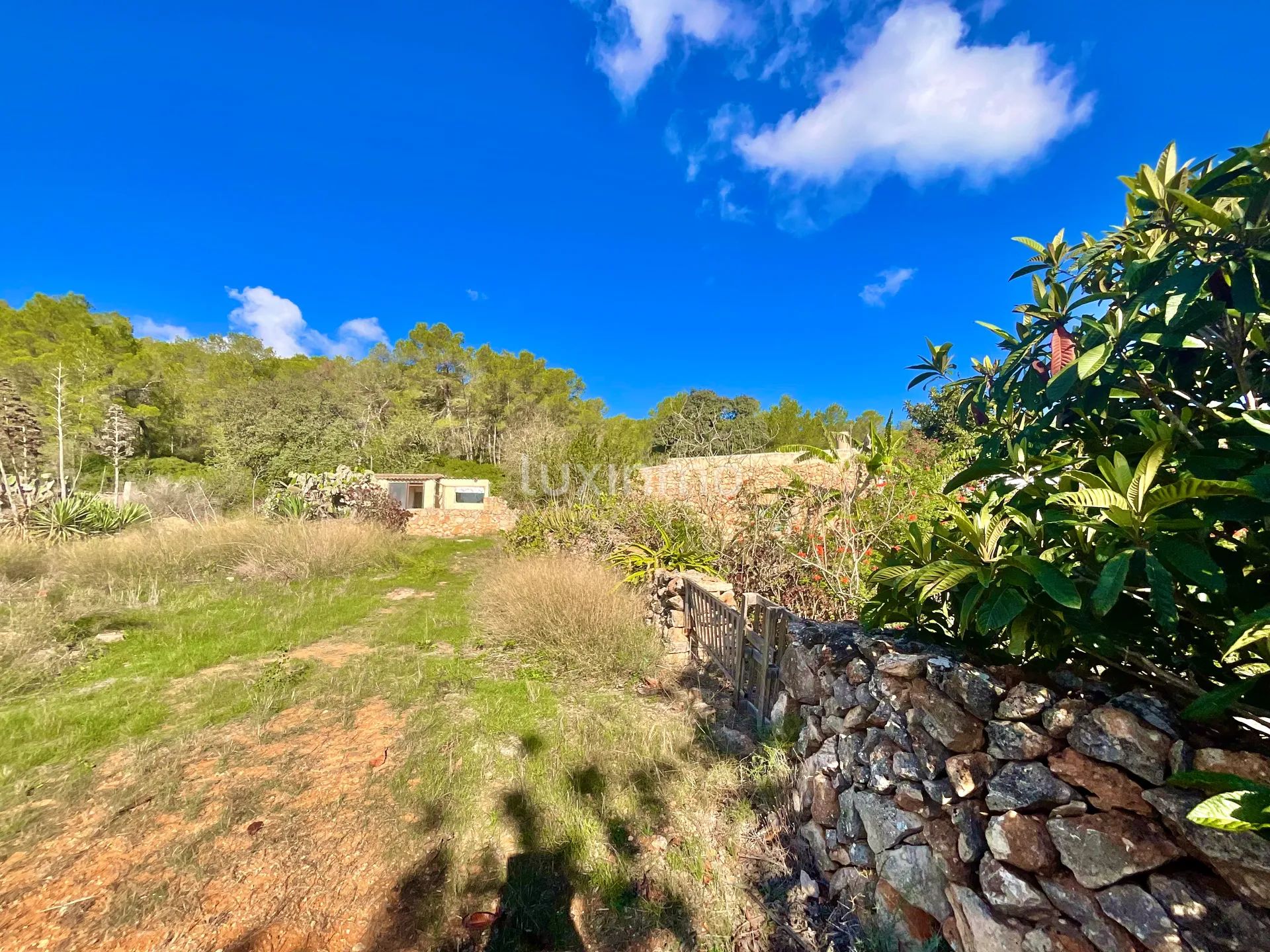 Zeer Charmant Ibicenco Finca Huis in Santa Agnes-Sant Mateu — photo 31