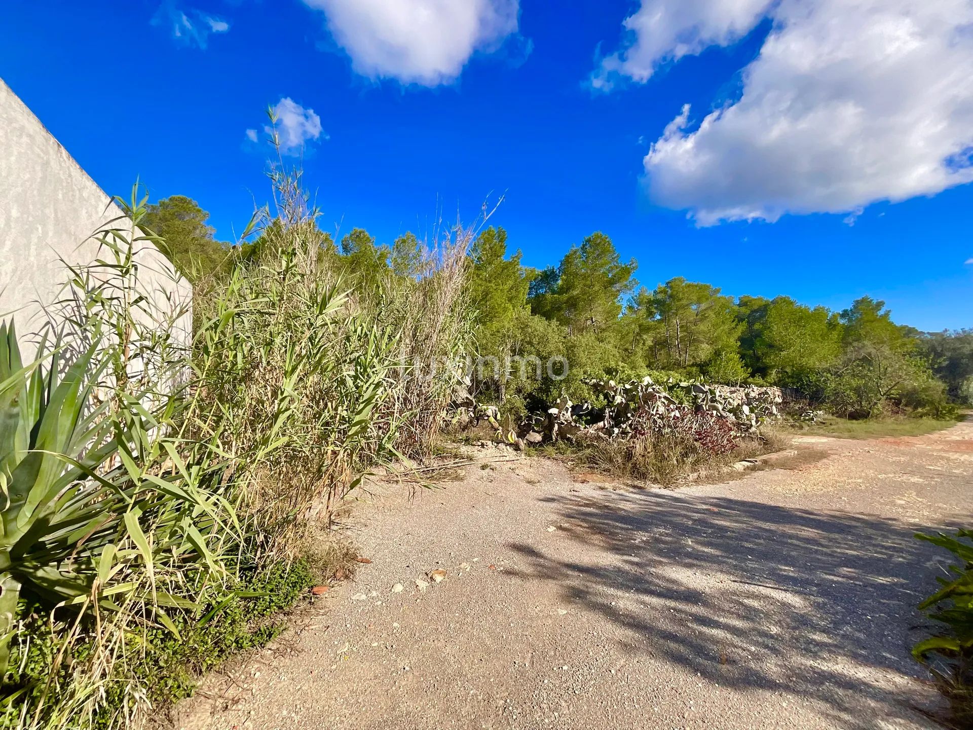 Encantadora Finca Ibicenca en Santa Agnes-Sant Mateu — photo 39
