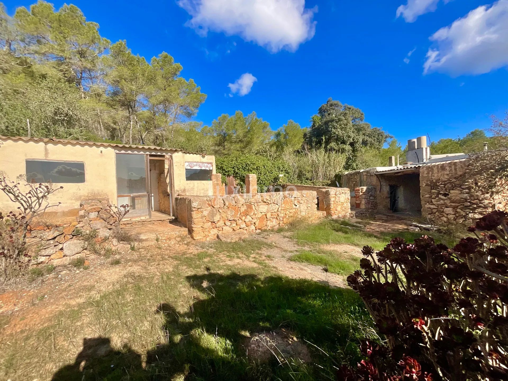 Zeer Charmant Ibicenco Finca Huis in Santa Agnes-Sant Mateu — photo 33