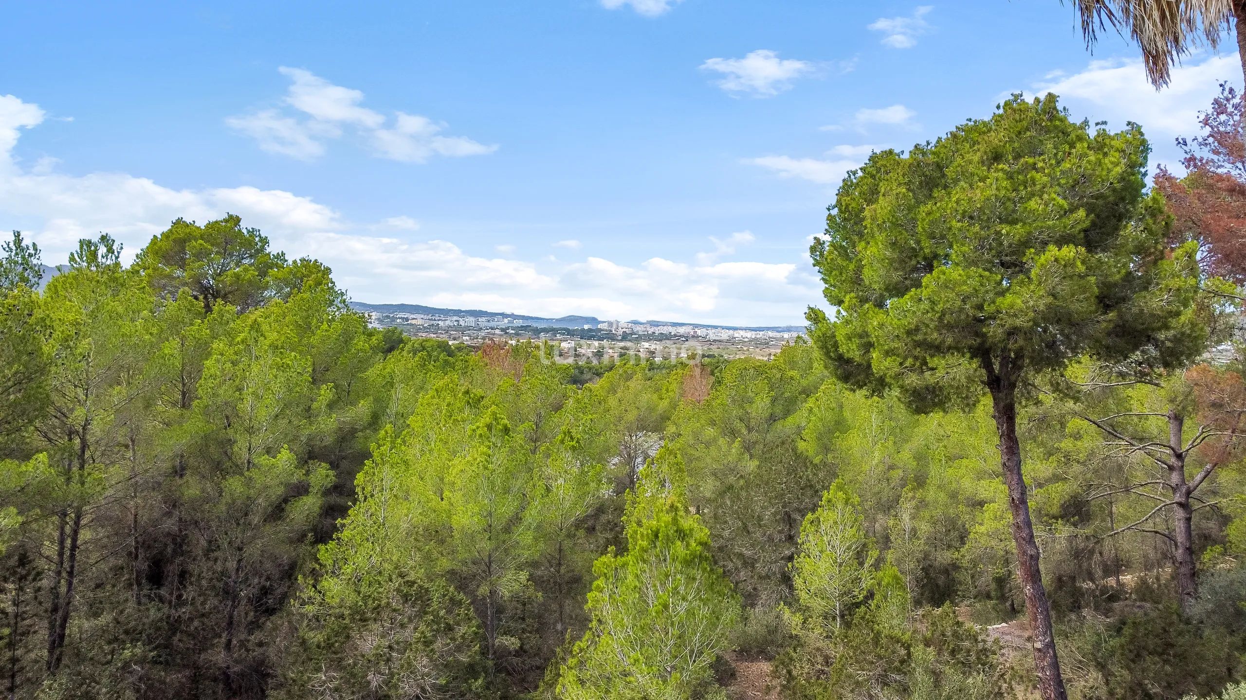 Charmante finca met 4 slaapkamers in Can Tomas — photo 16