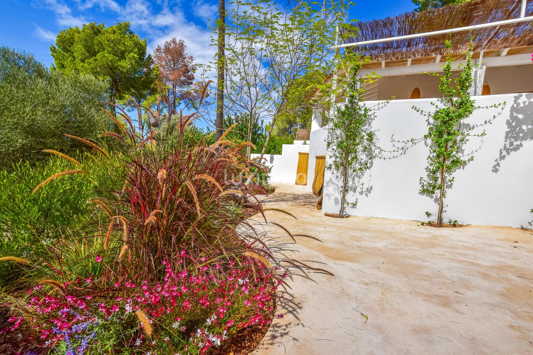 Charmante finca met 4 slaapkamers in Can Tomas — photo 12